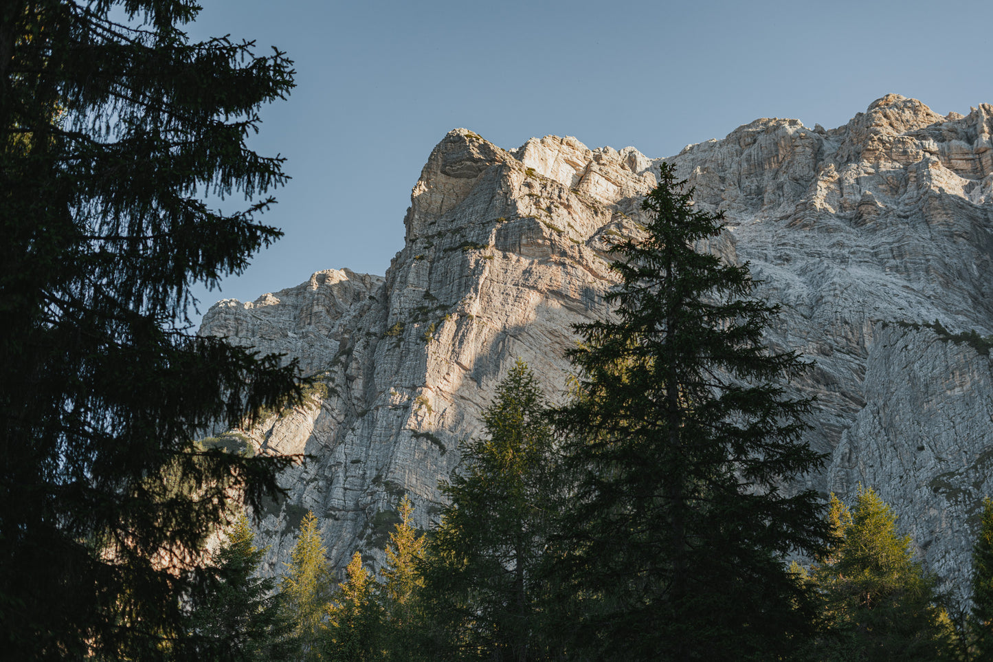 Camminata al Rifugio Carestiato