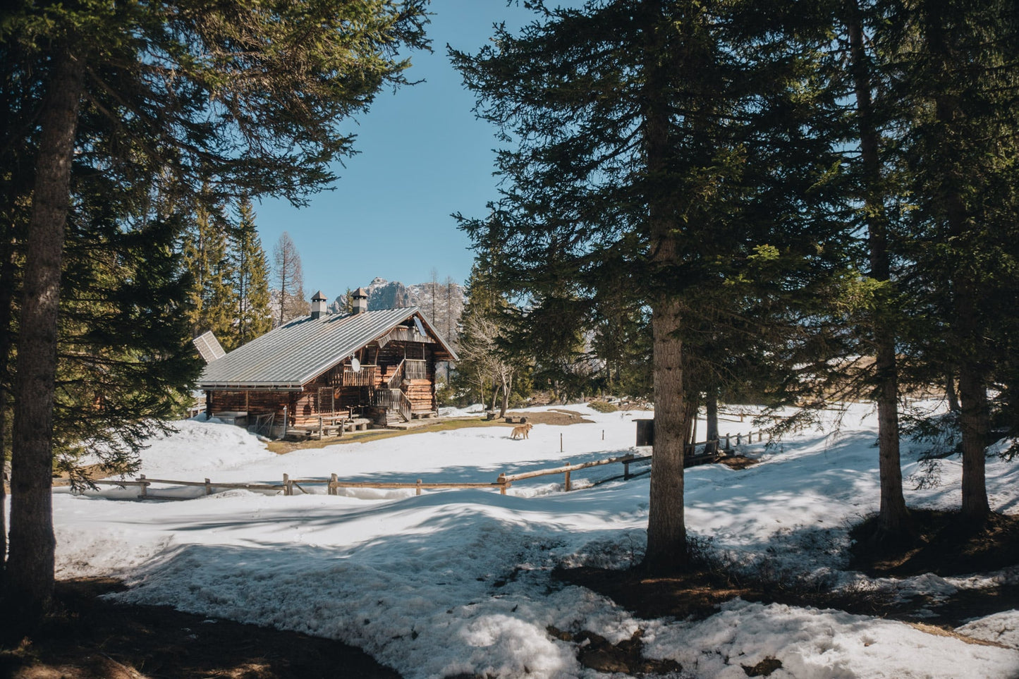 Camminata al Rifugio Tita Barba