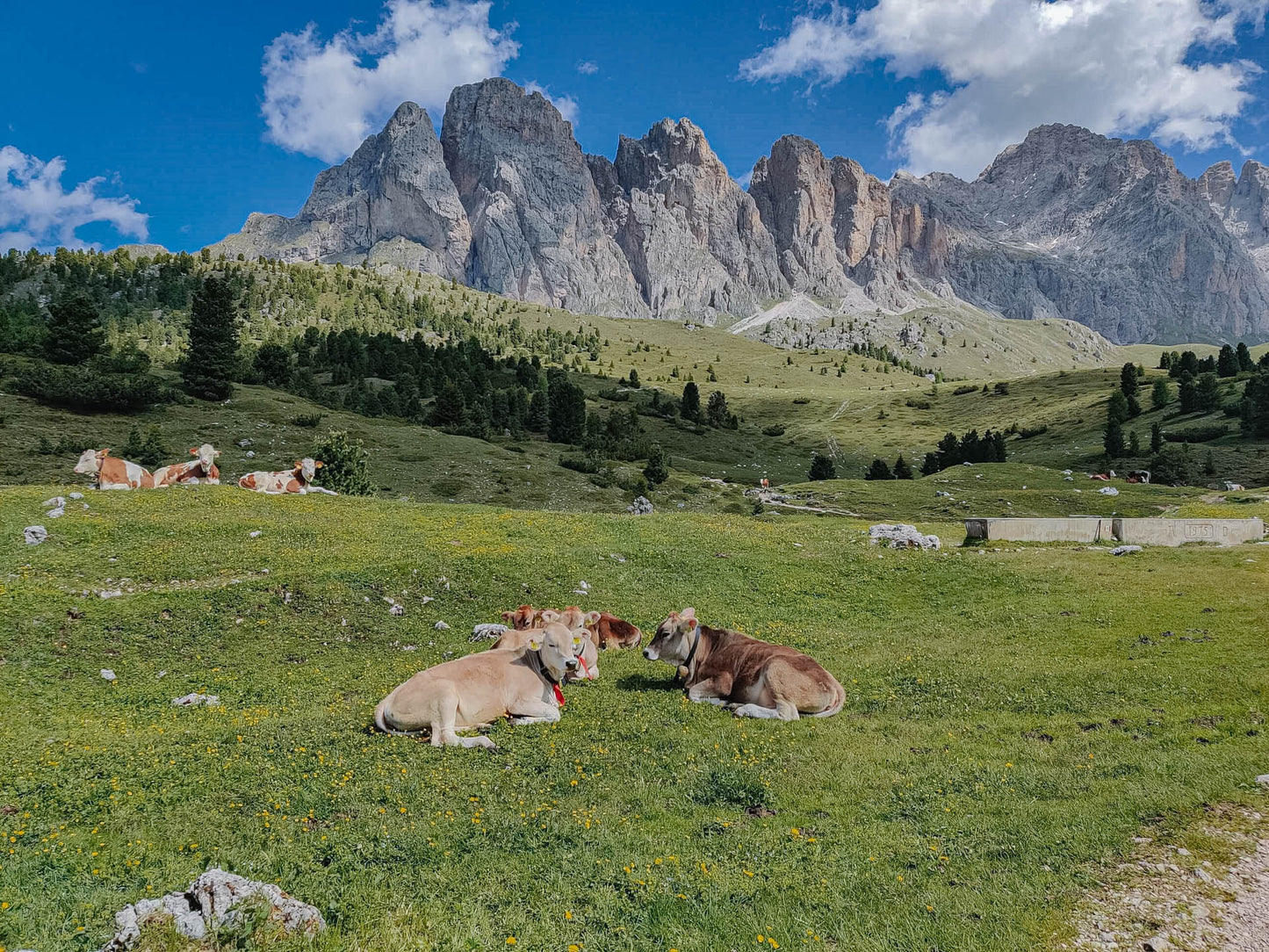 Camminata al Seceda