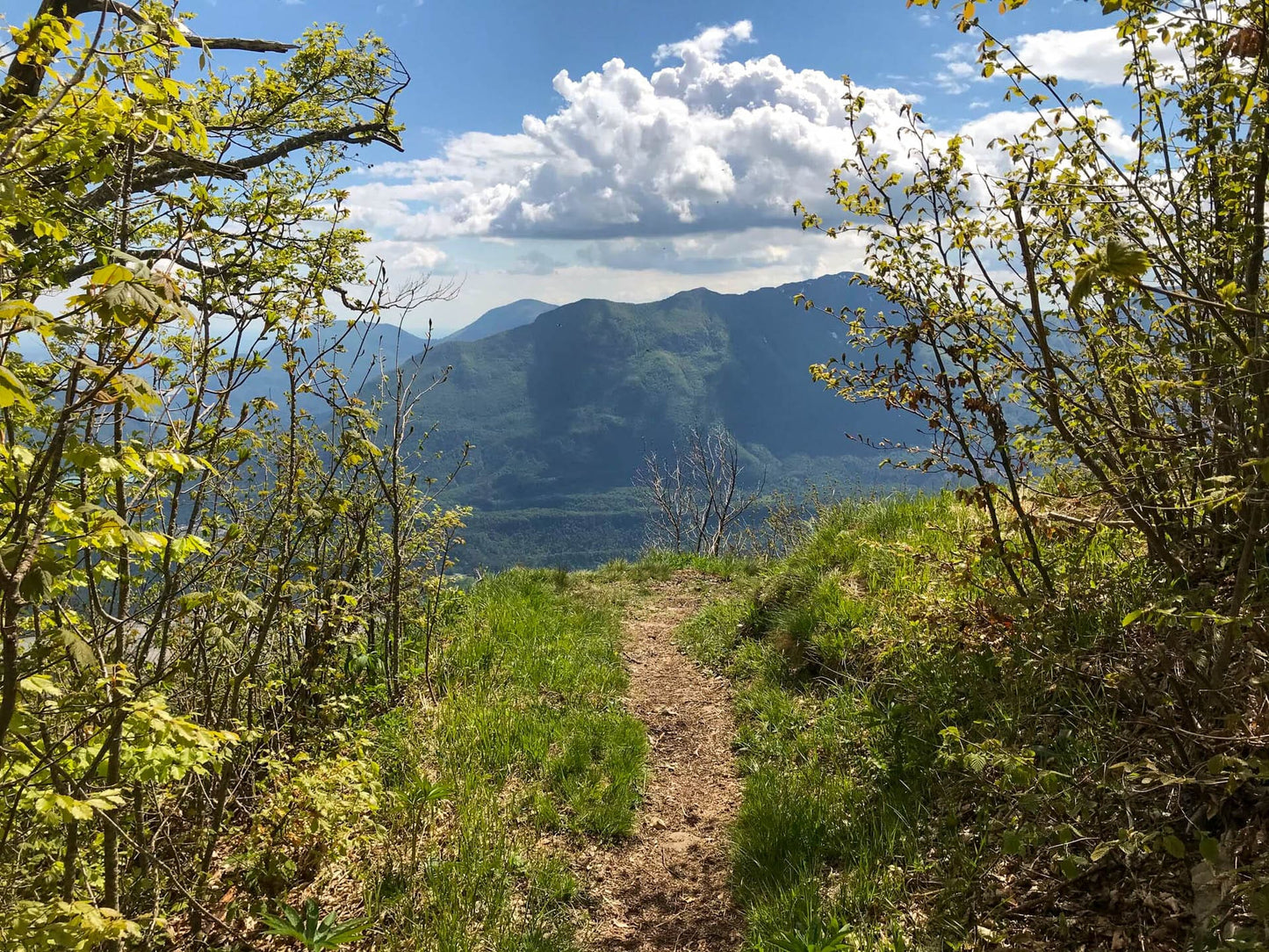 Escursione e via ferrata al Monte Amariana