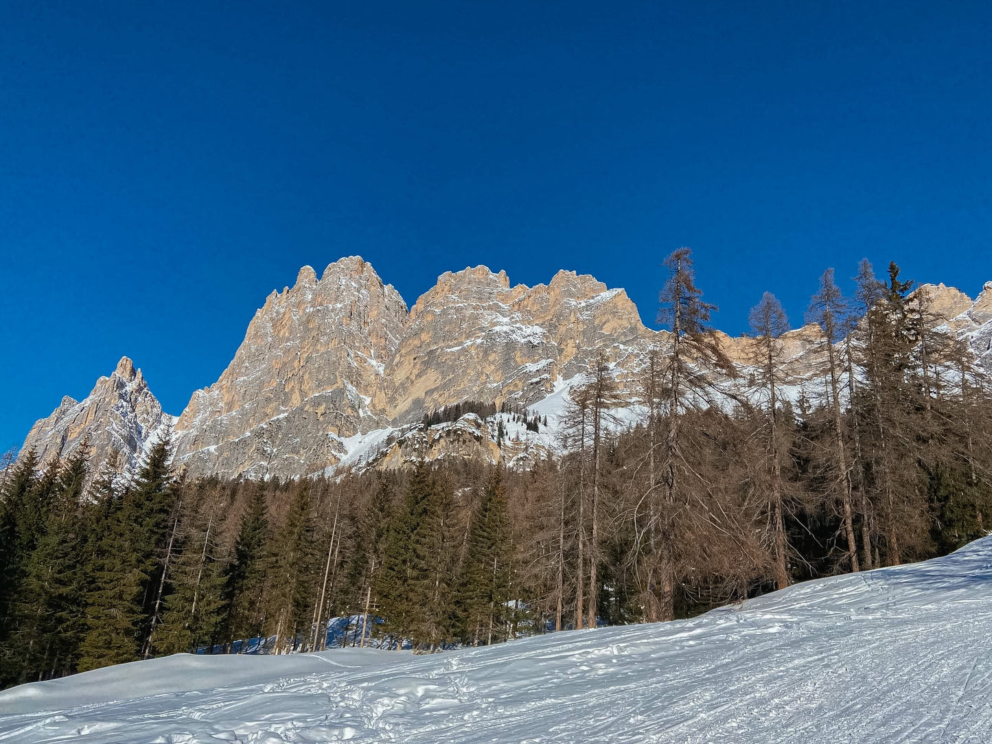 Discesa in slittino dal Rifugio Mietres
