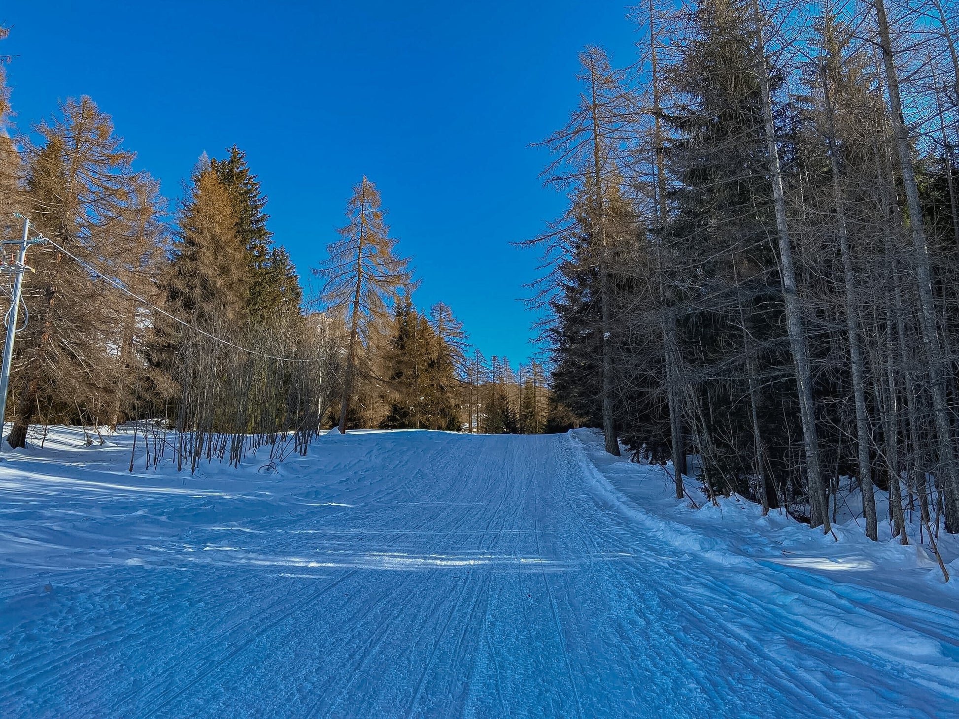 Discesa in slittino dal Rifugio Mietres