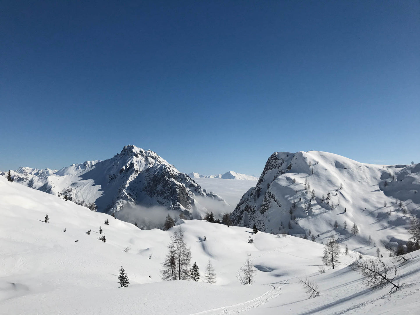 Sci alpinismo al Monte Lastroni