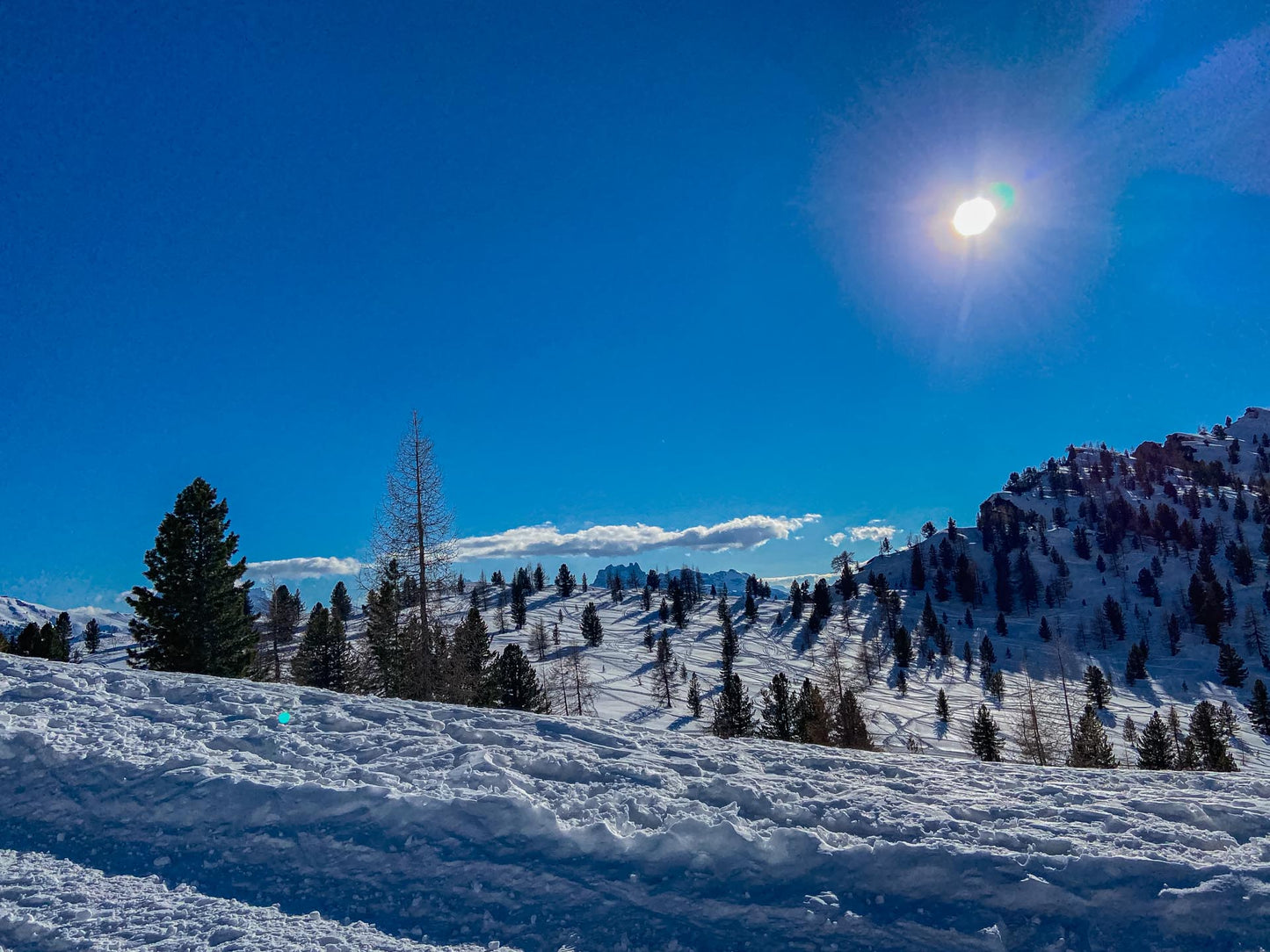 Slittino e ciaspolata al Rifugio Son Forca