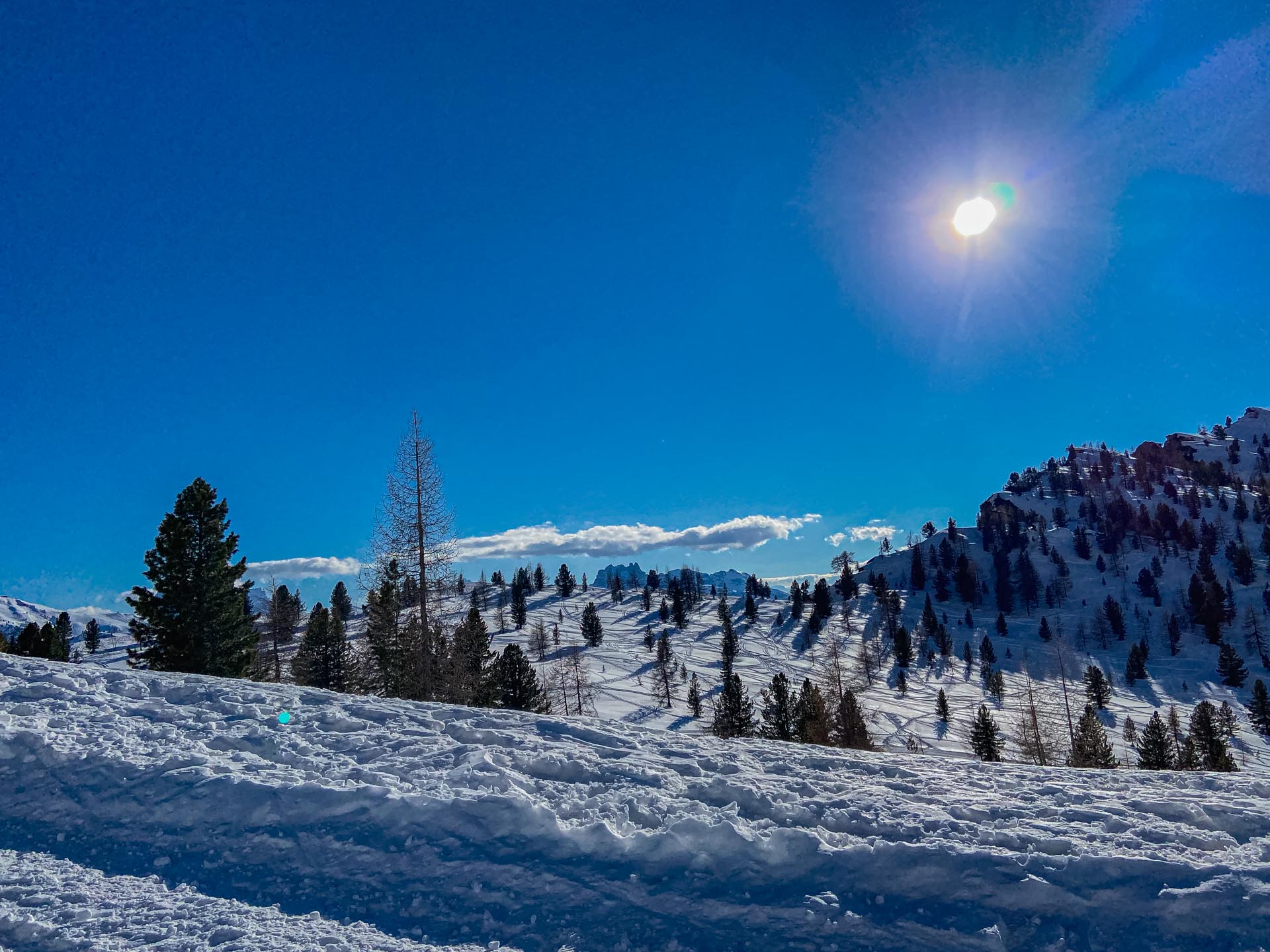 Slittino e ciaspolata al Rifugio Son Forca