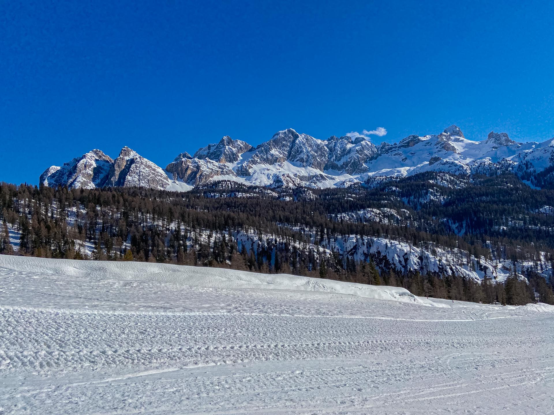 Slittino e ciaspolata al Rifugio Son Forca