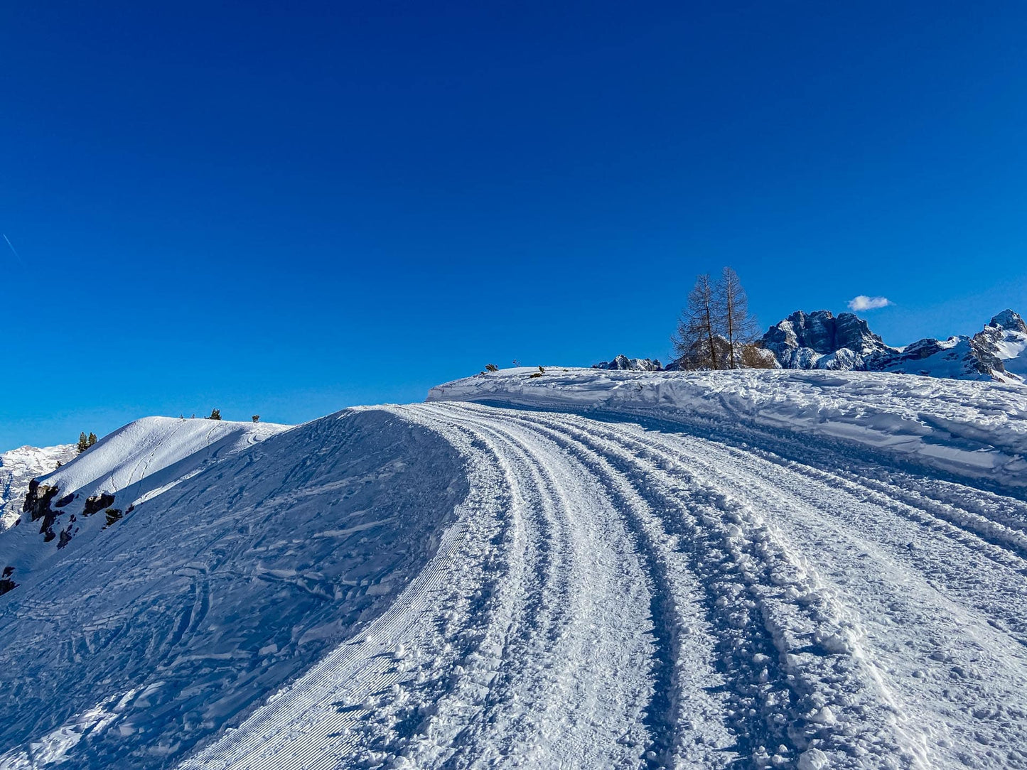 Slittino e ciaspolata al Rifugio Son Forca