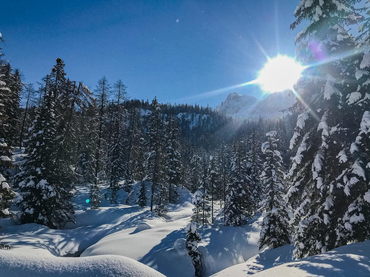 Sci alpinismo e ciaspolata alla Capanna Tondi
