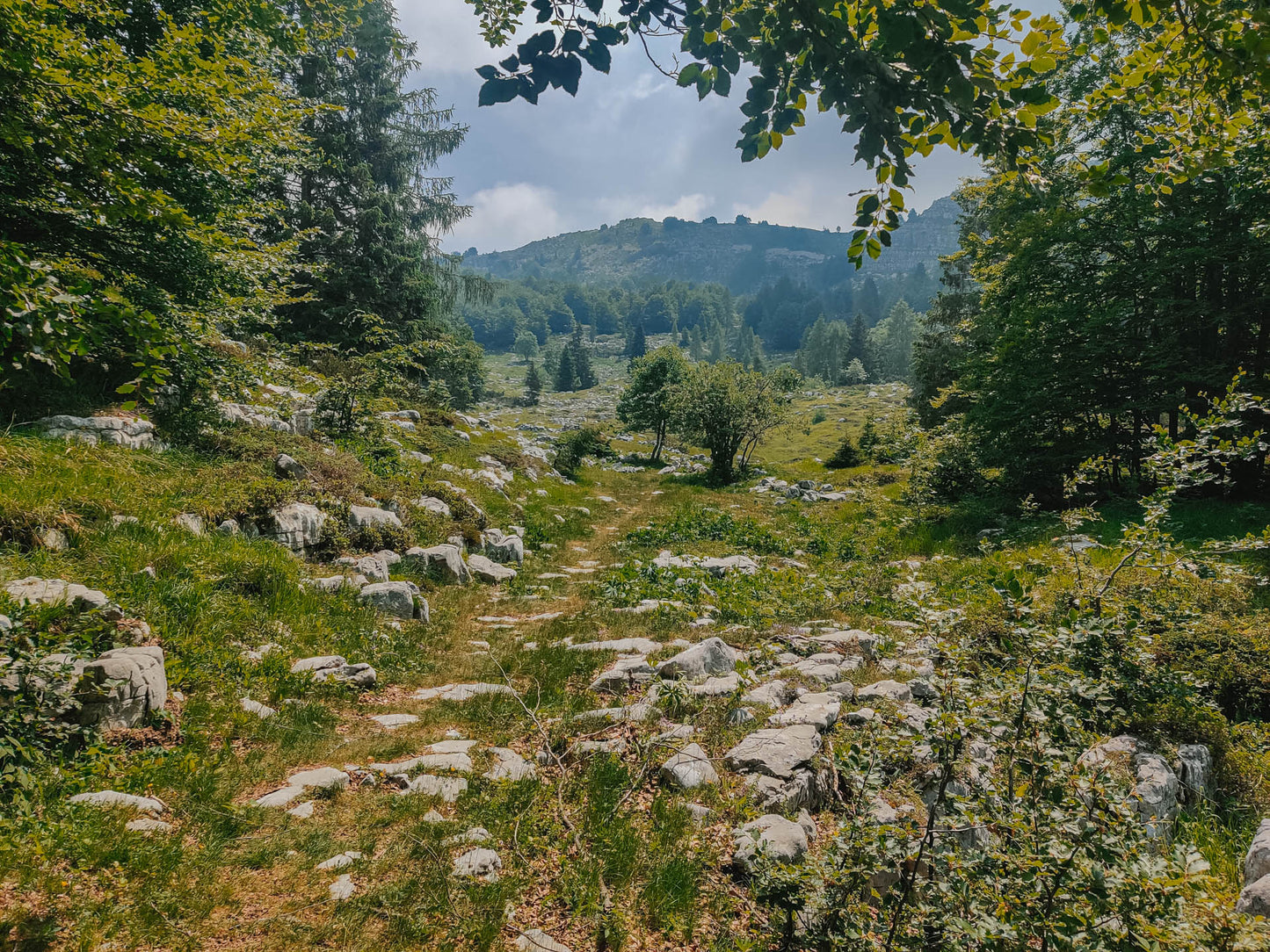 Escursione al Monte Cjastelat e Casera Giais
