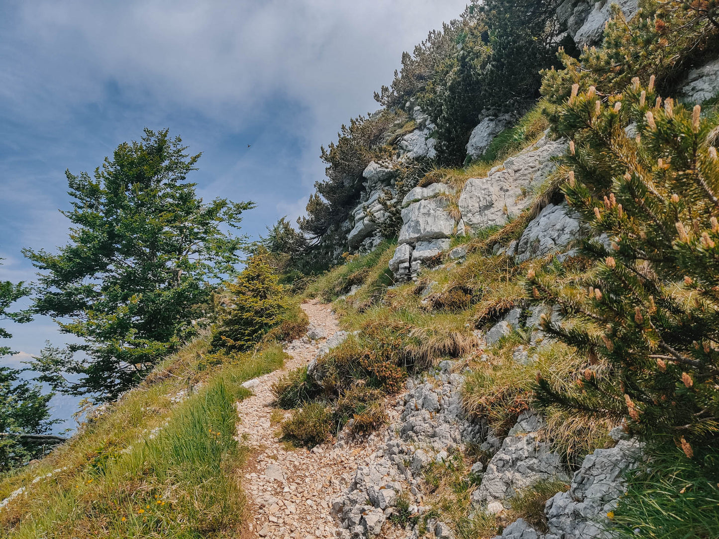 Escursione al Monte Cjastelat e Casera Giais