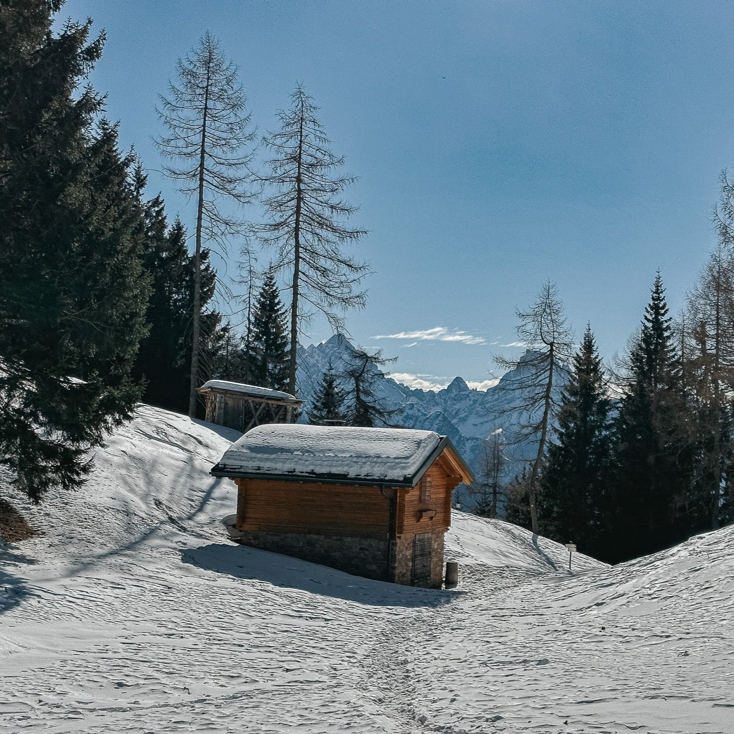 Escursione al Rifugio Antelao