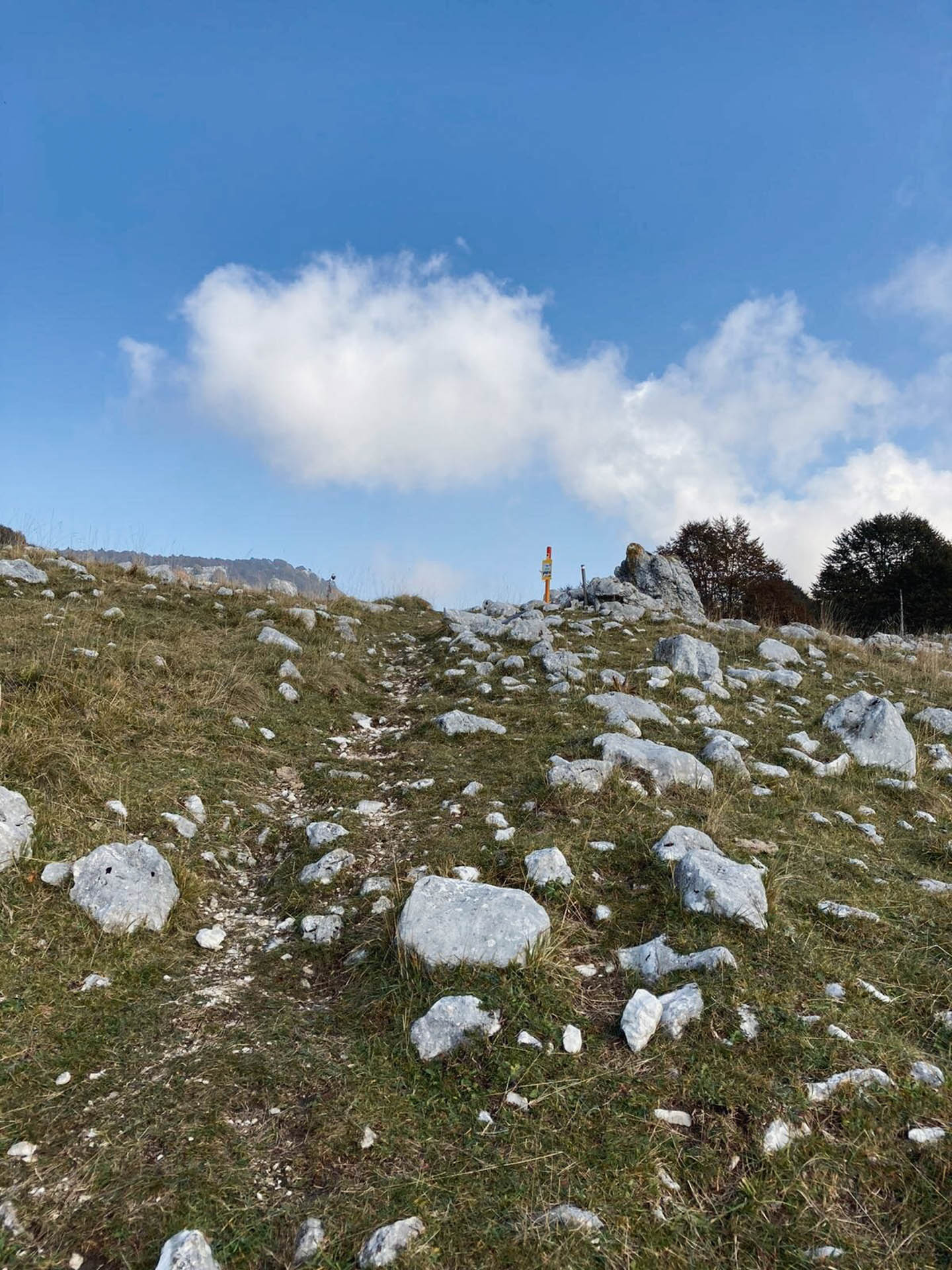 Ciaspolata al Giro delle Malghe di Piancavallo