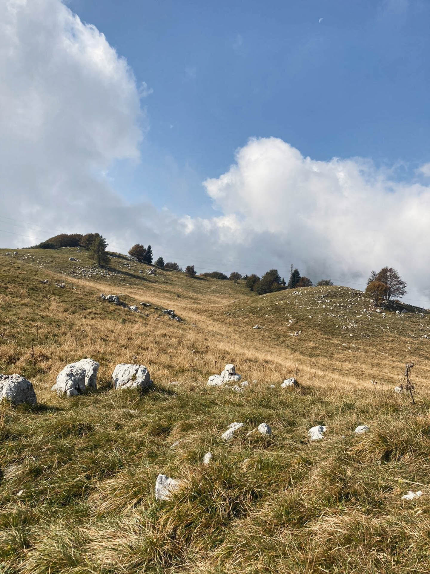 Camminata al giro delle Malghe di Piancavallo