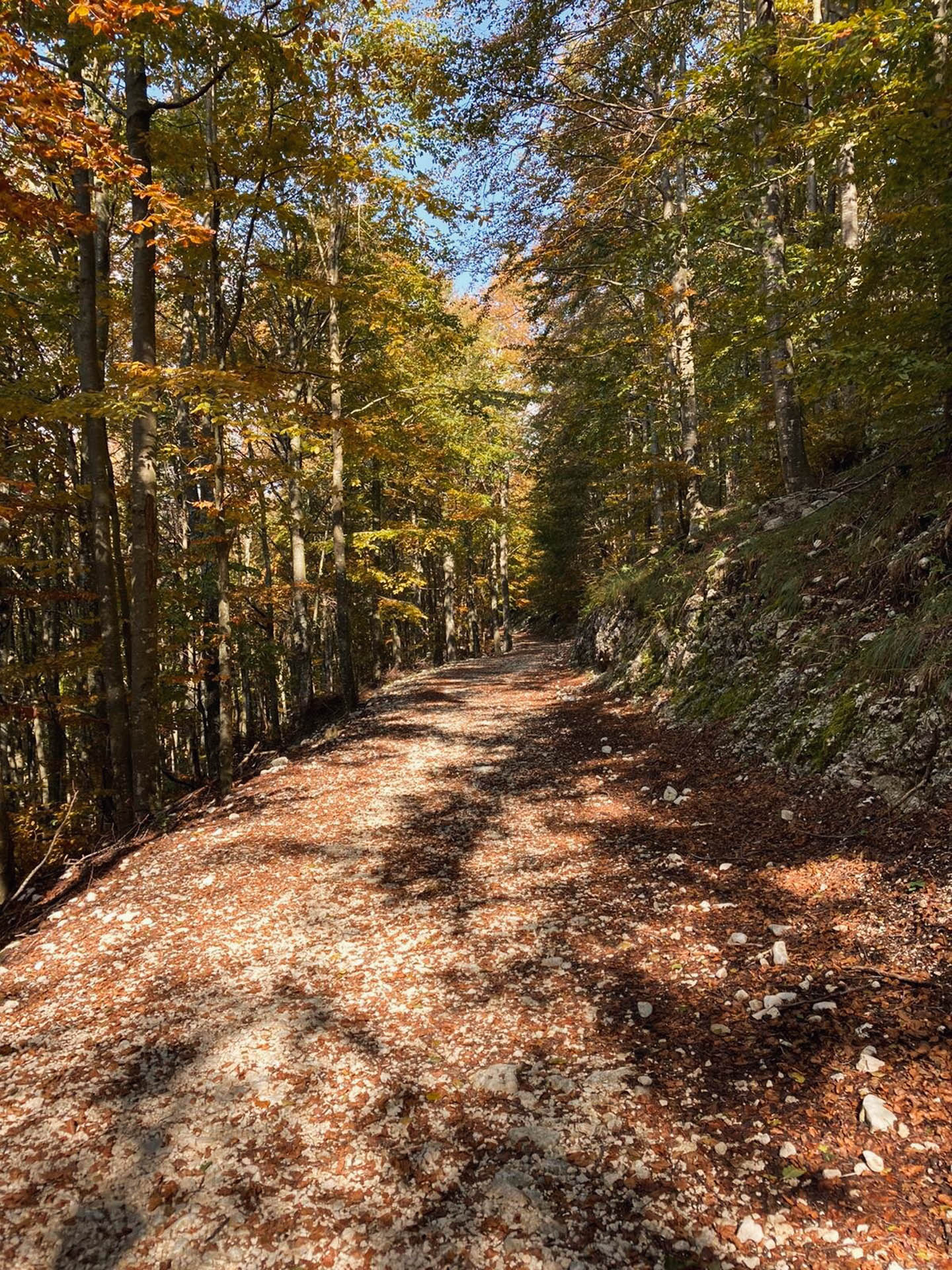 Ciaspolata al Giro delle Malghe di Piancavallo