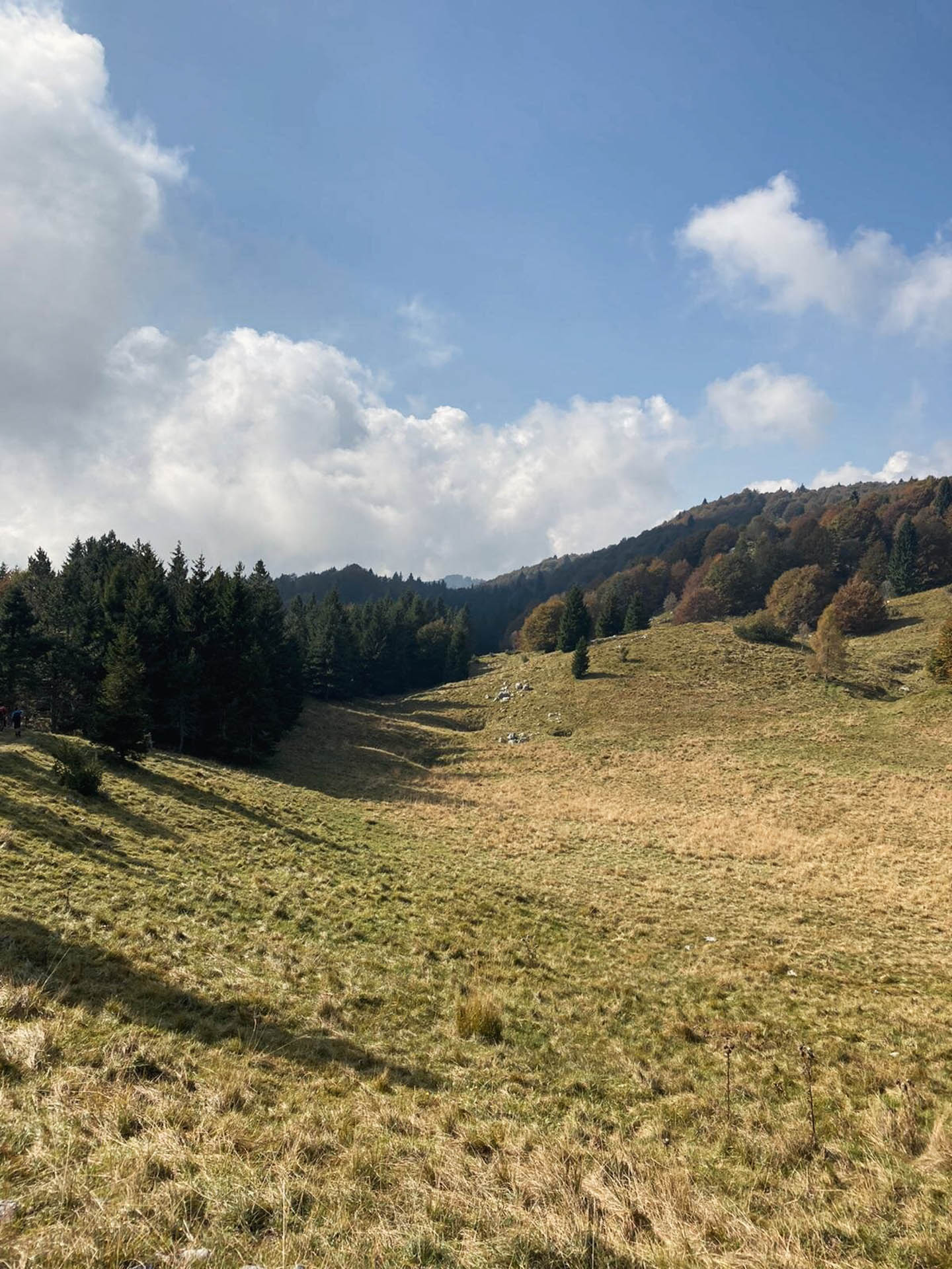 Ciaspolata al Giro delle Malghe di Piancavallo