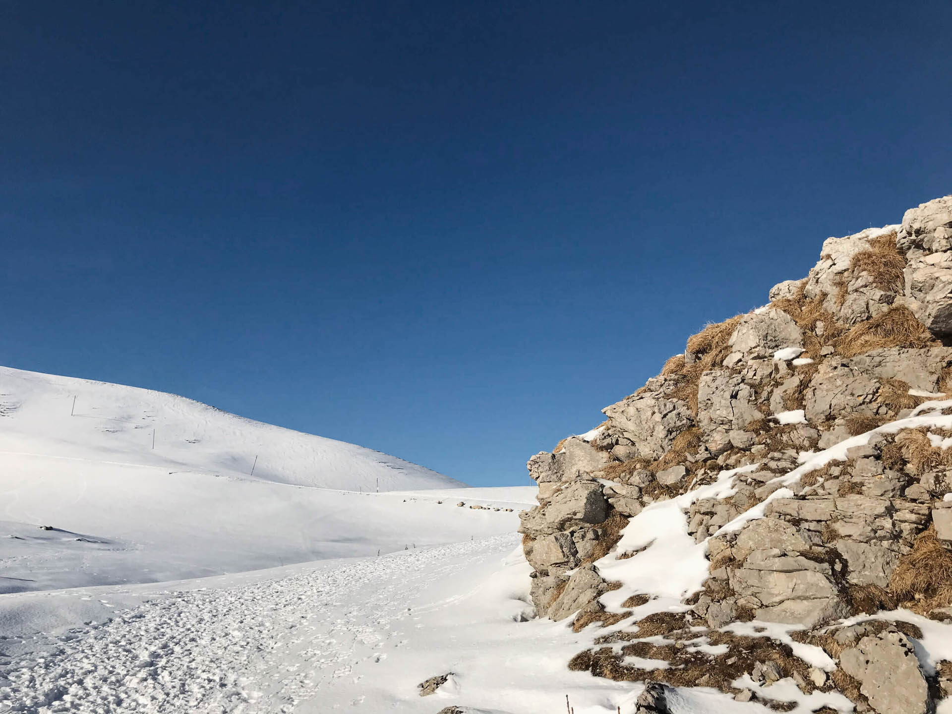 Sci alpinismo e ciaspolata al Monte Pizzoc