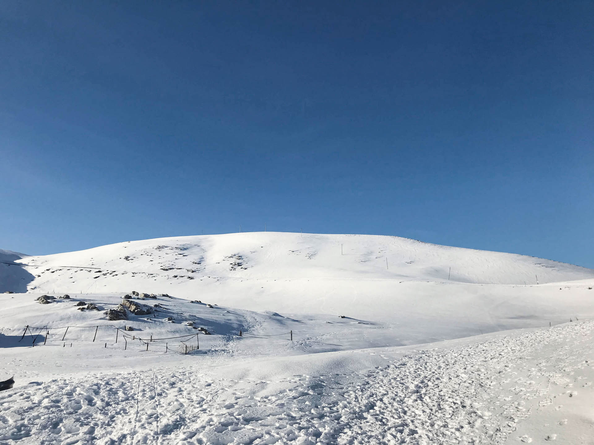 Sci alpinismo e ciaspolata al Monte Pizzoc