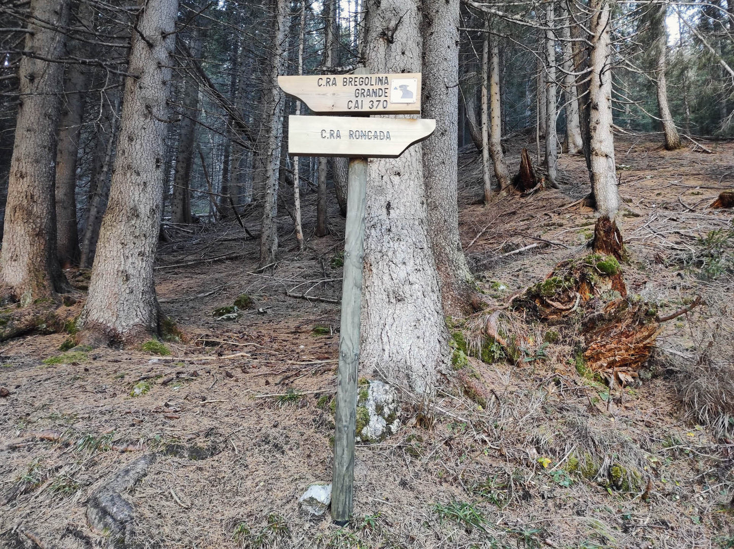Escursione al Monte Ferrara