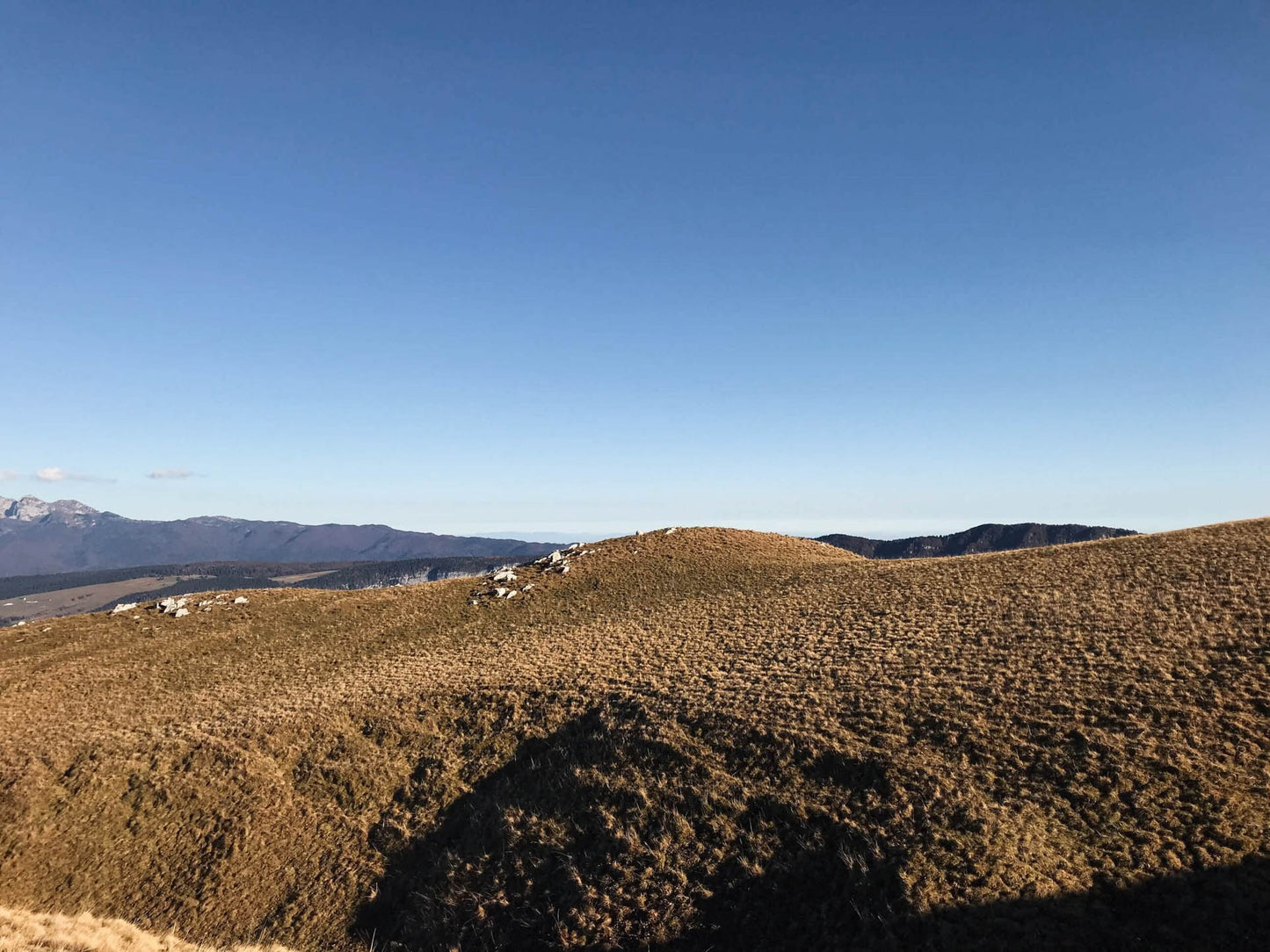 Camminata al Col Visentin