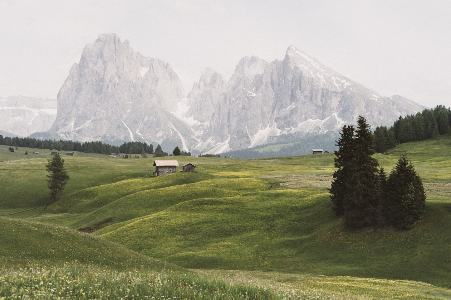 Camminata in Alpe di Siusi