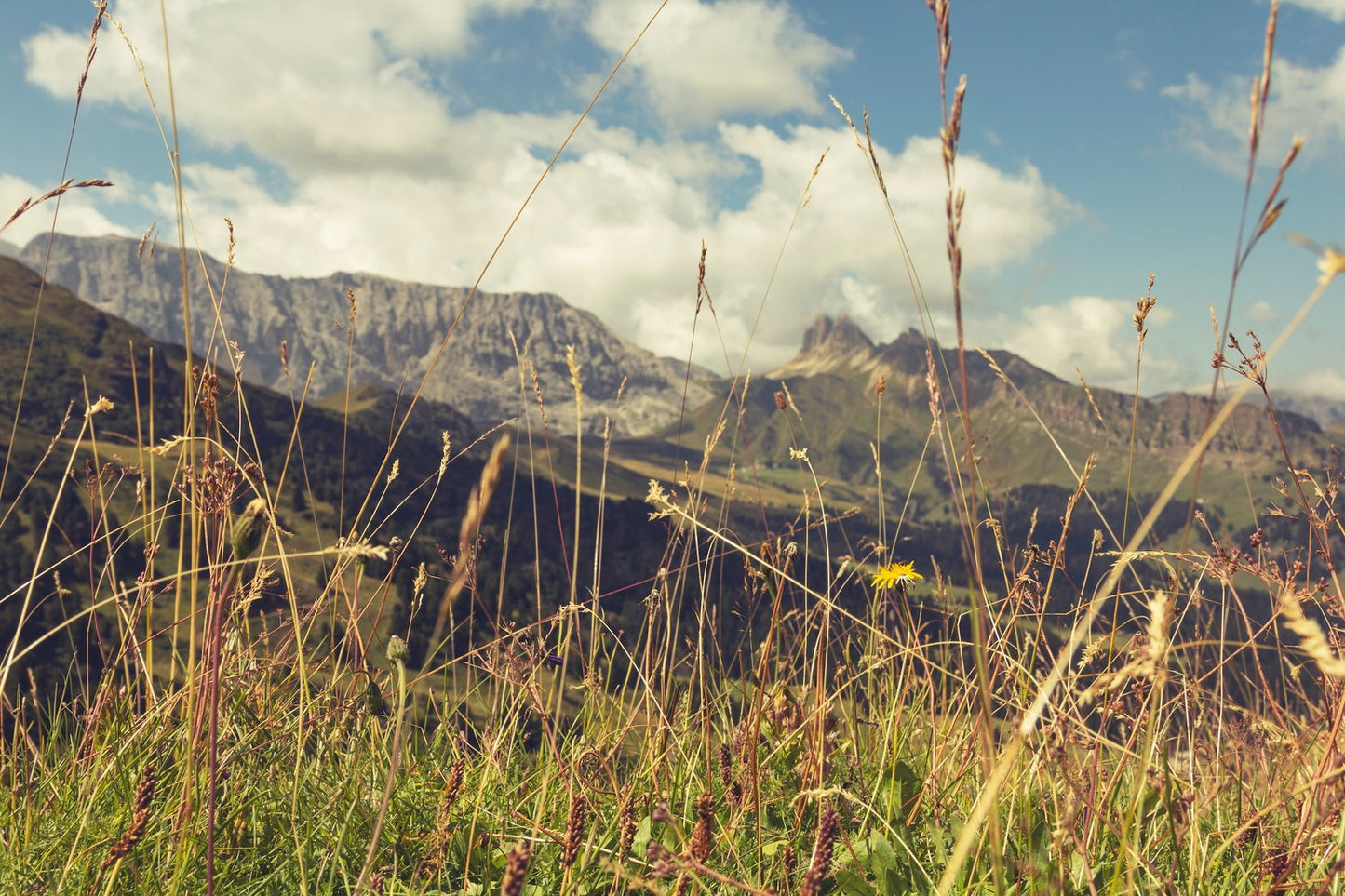 Camminata in Alpe di Siusi