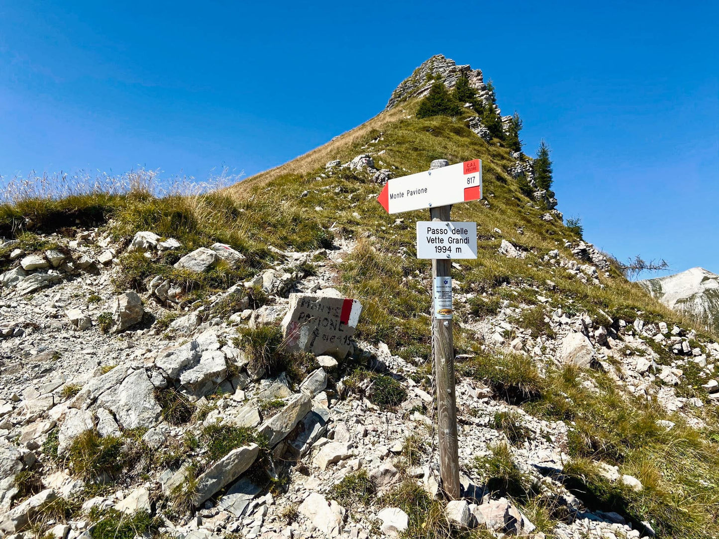 Escursione al Monte Pavione