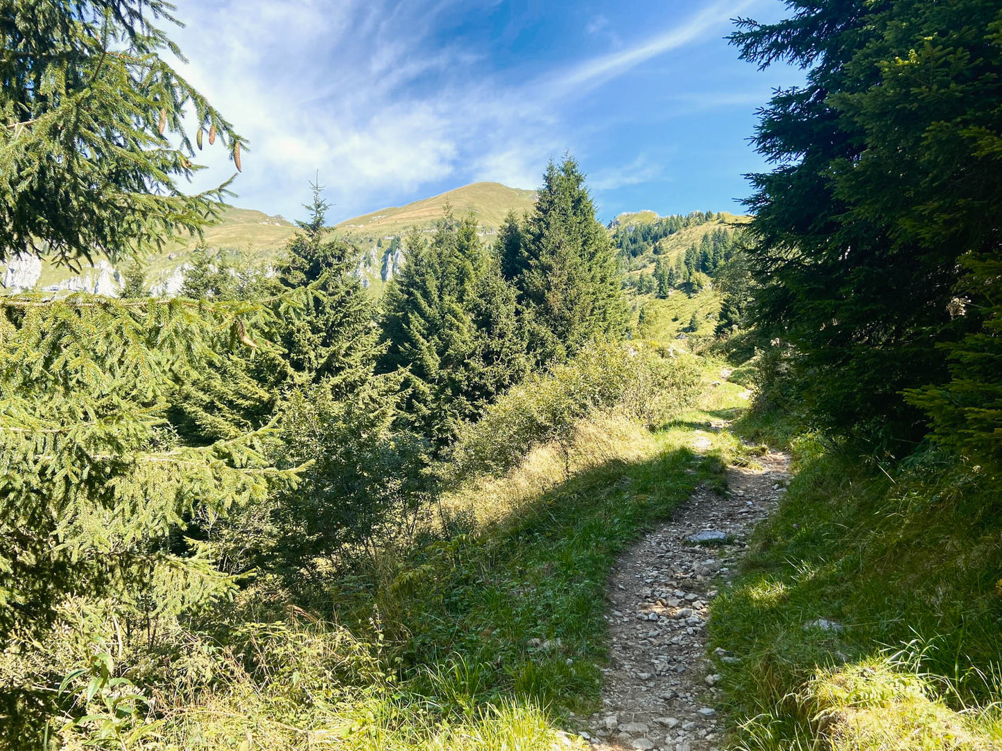 Escursione al Monte Pavione