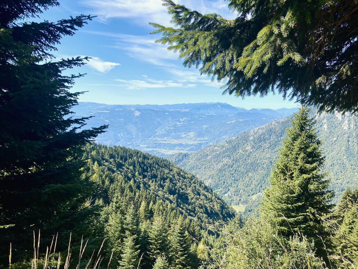 Escursione al Monte Pavione