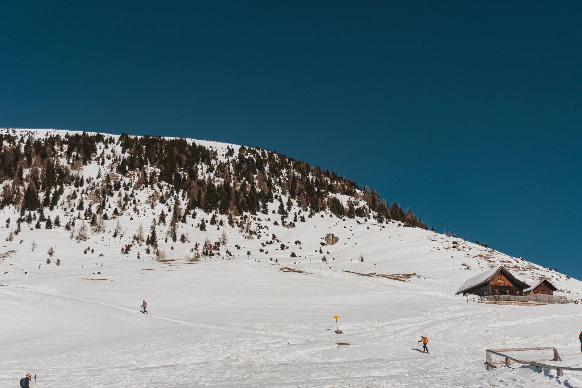 Sci alpinismo e ciaspolata al Monte Osternig