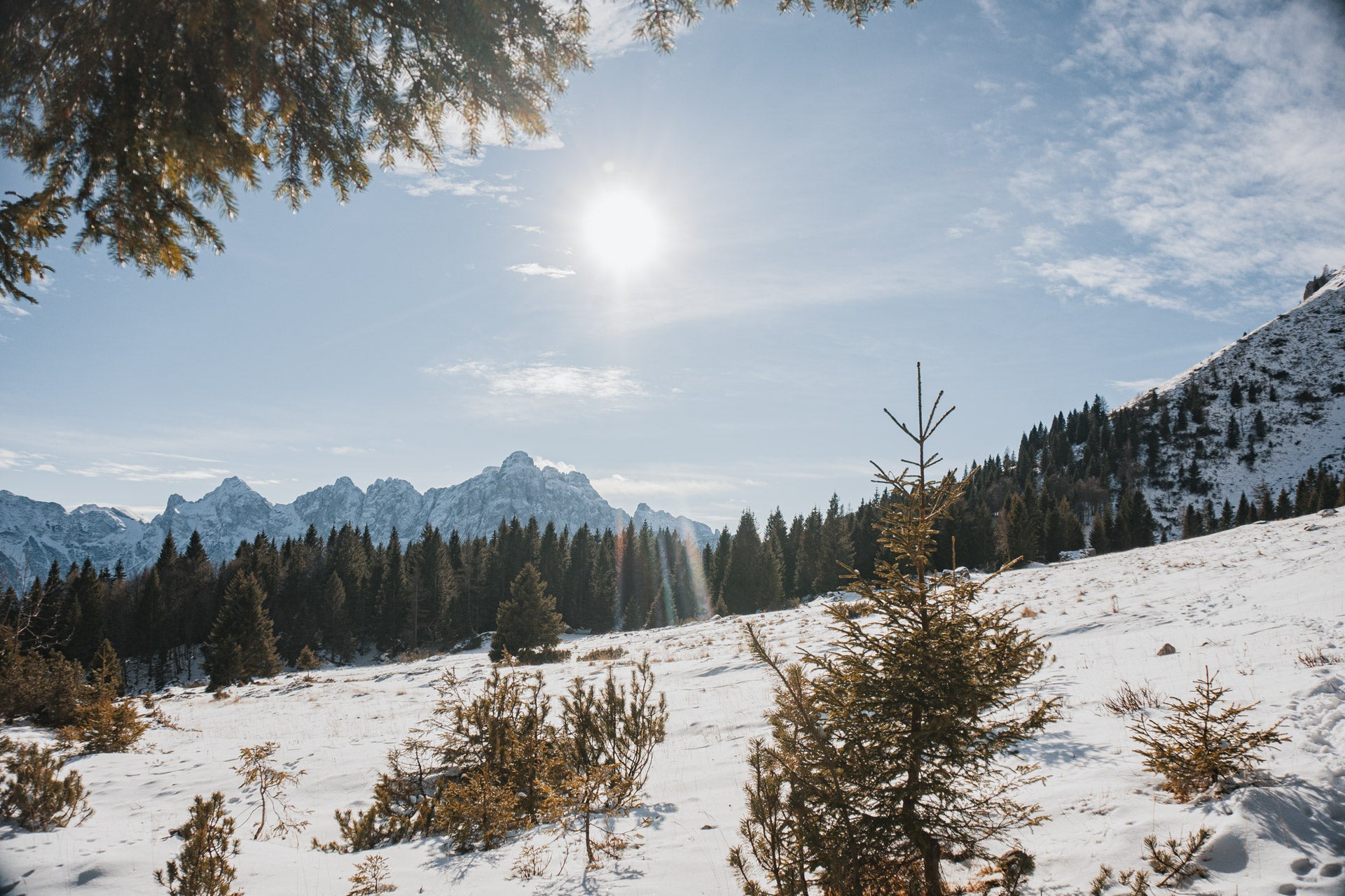 Camminata al Bivacco Menegazzi