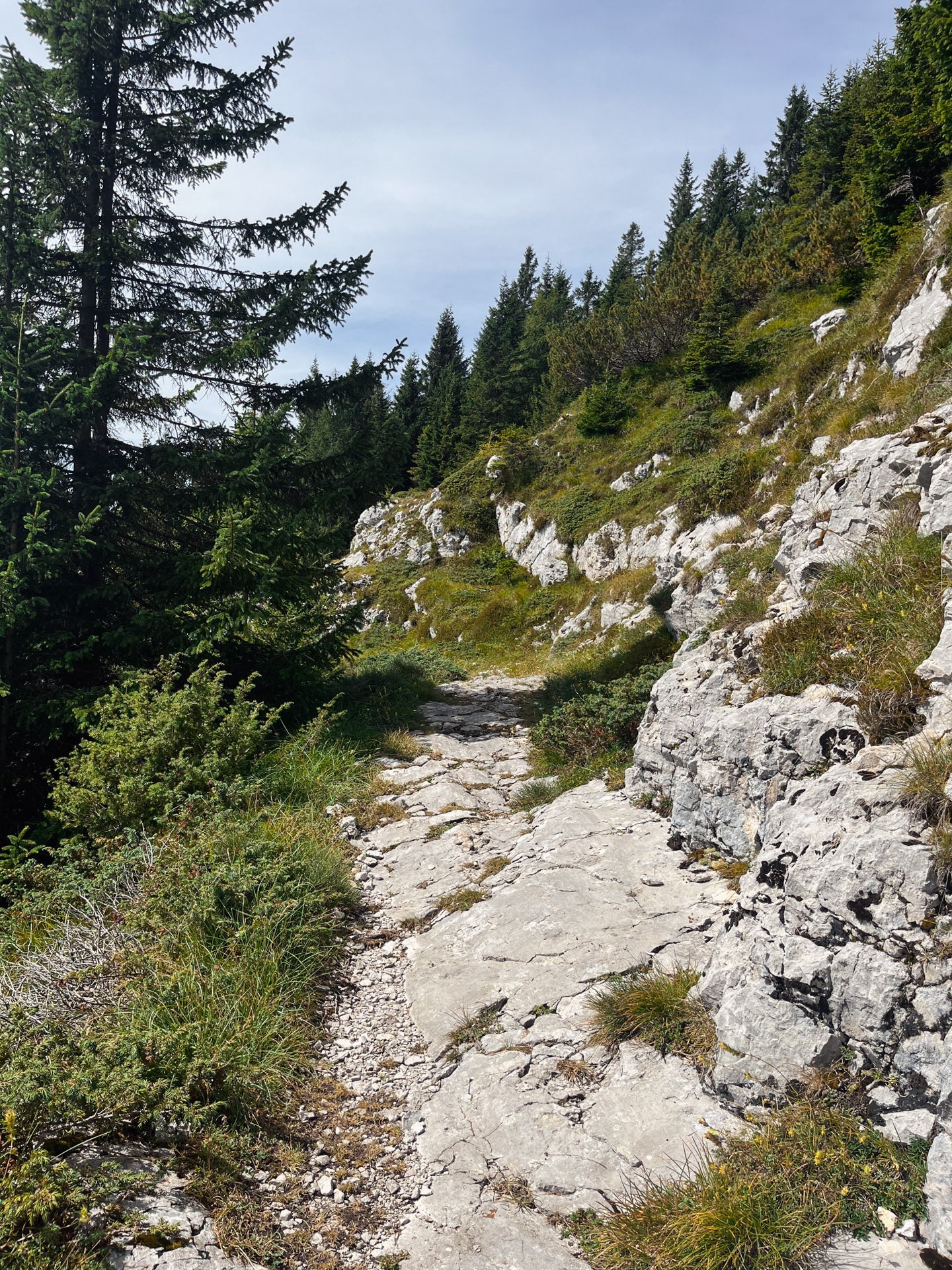 Via Ferrata al Monte Coppolo