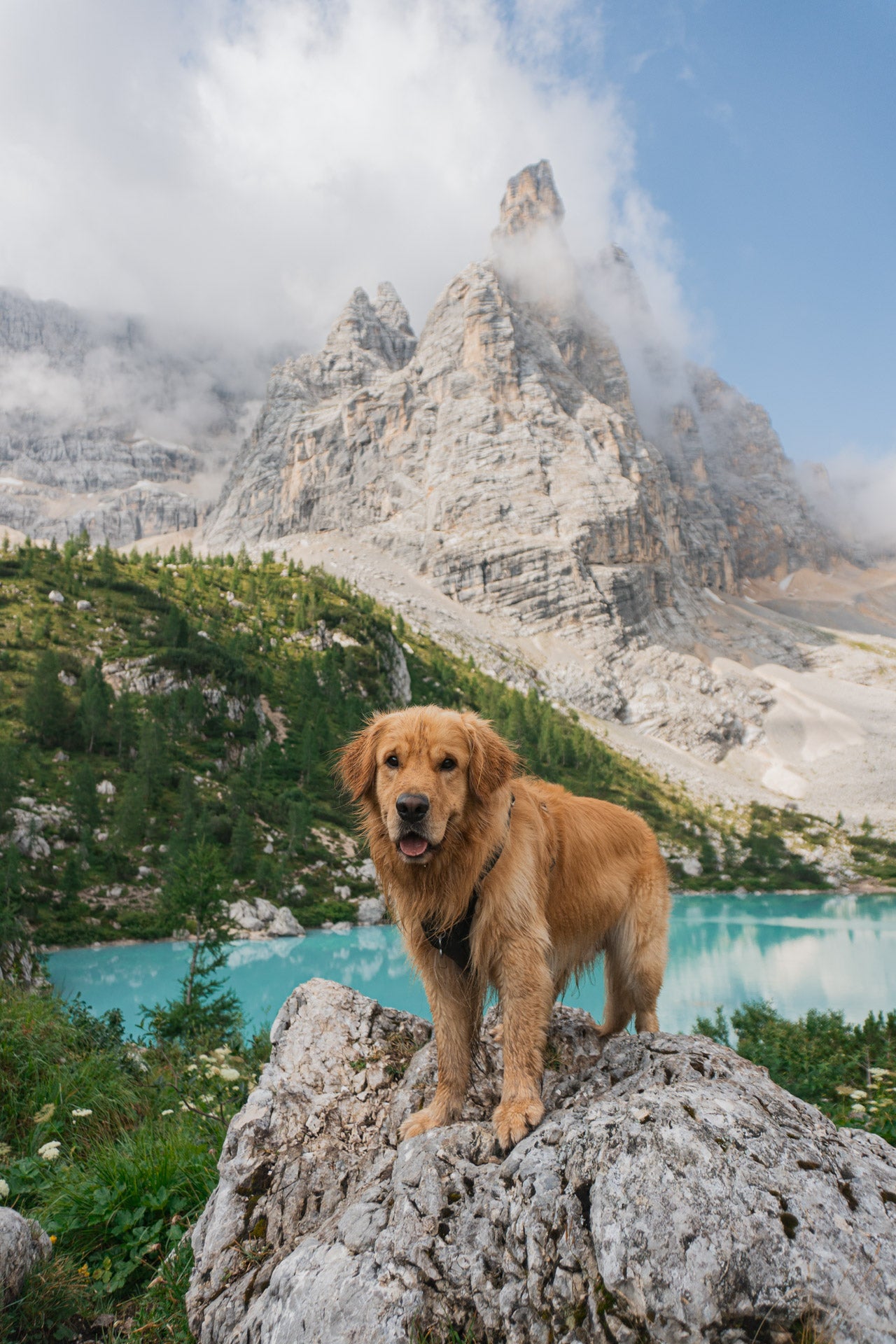 Escursione al Lago di Sorapis