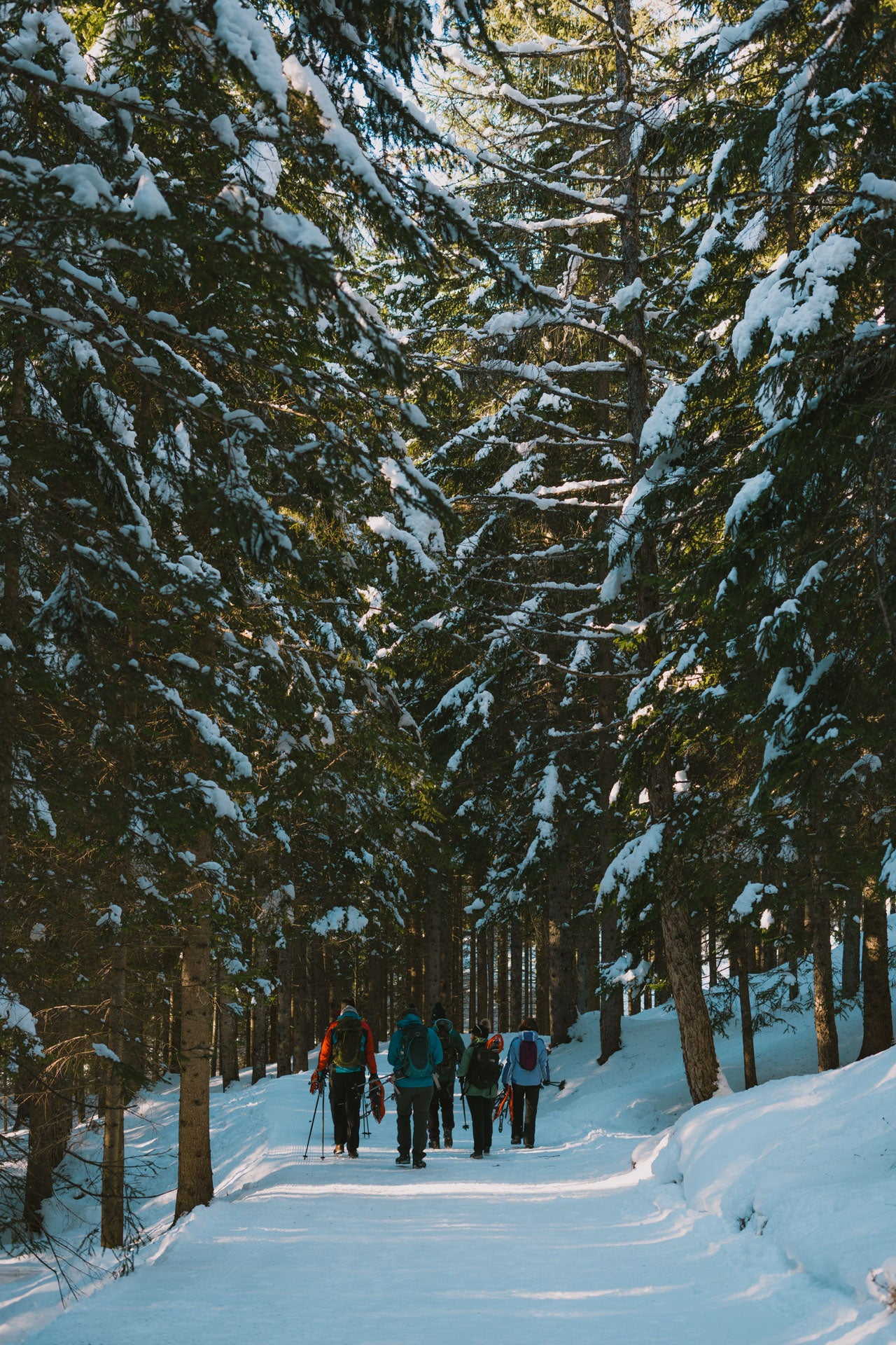 Ciaspolata a Malga Ra Stua