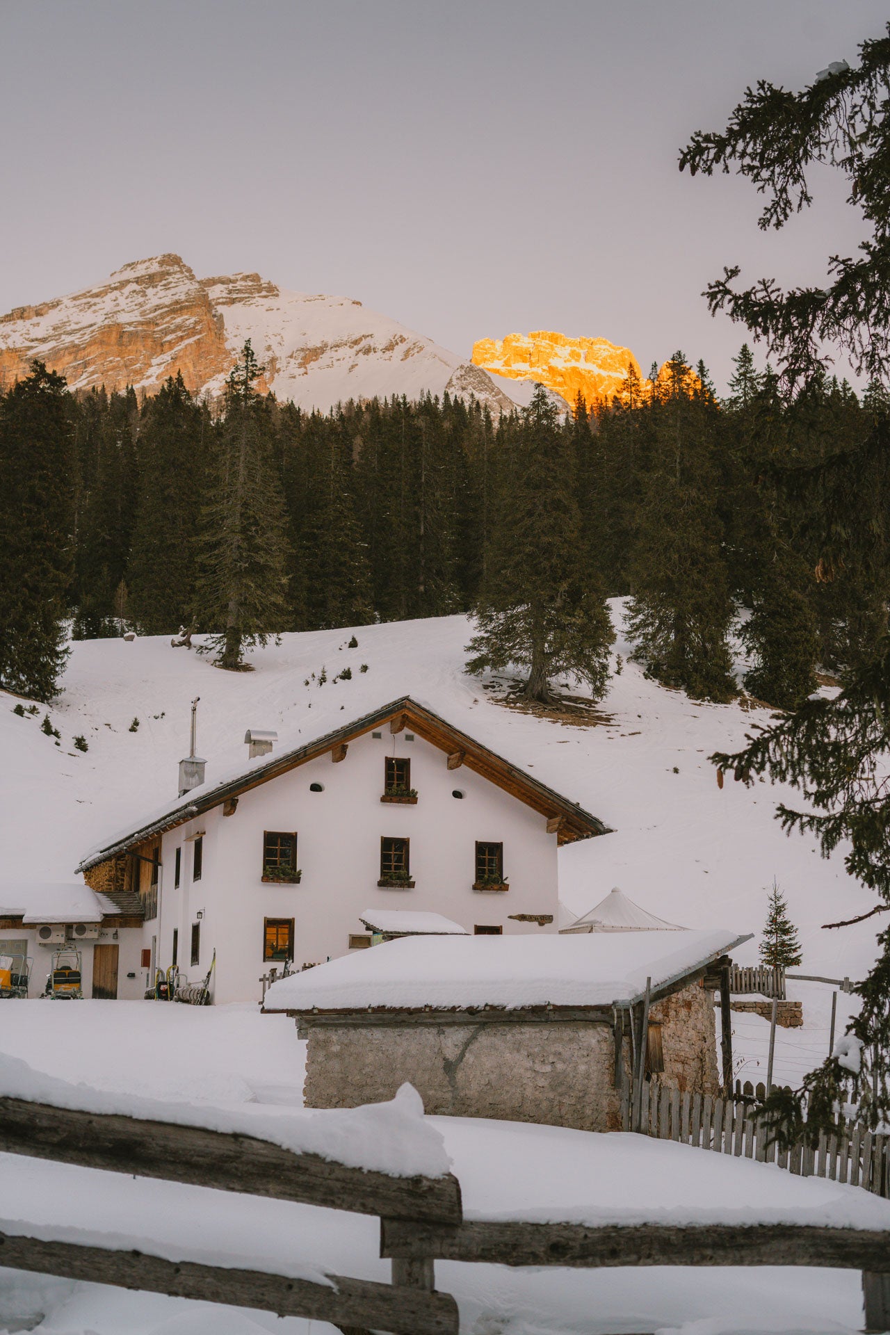 Ciaspolata a Malga Ra Stua