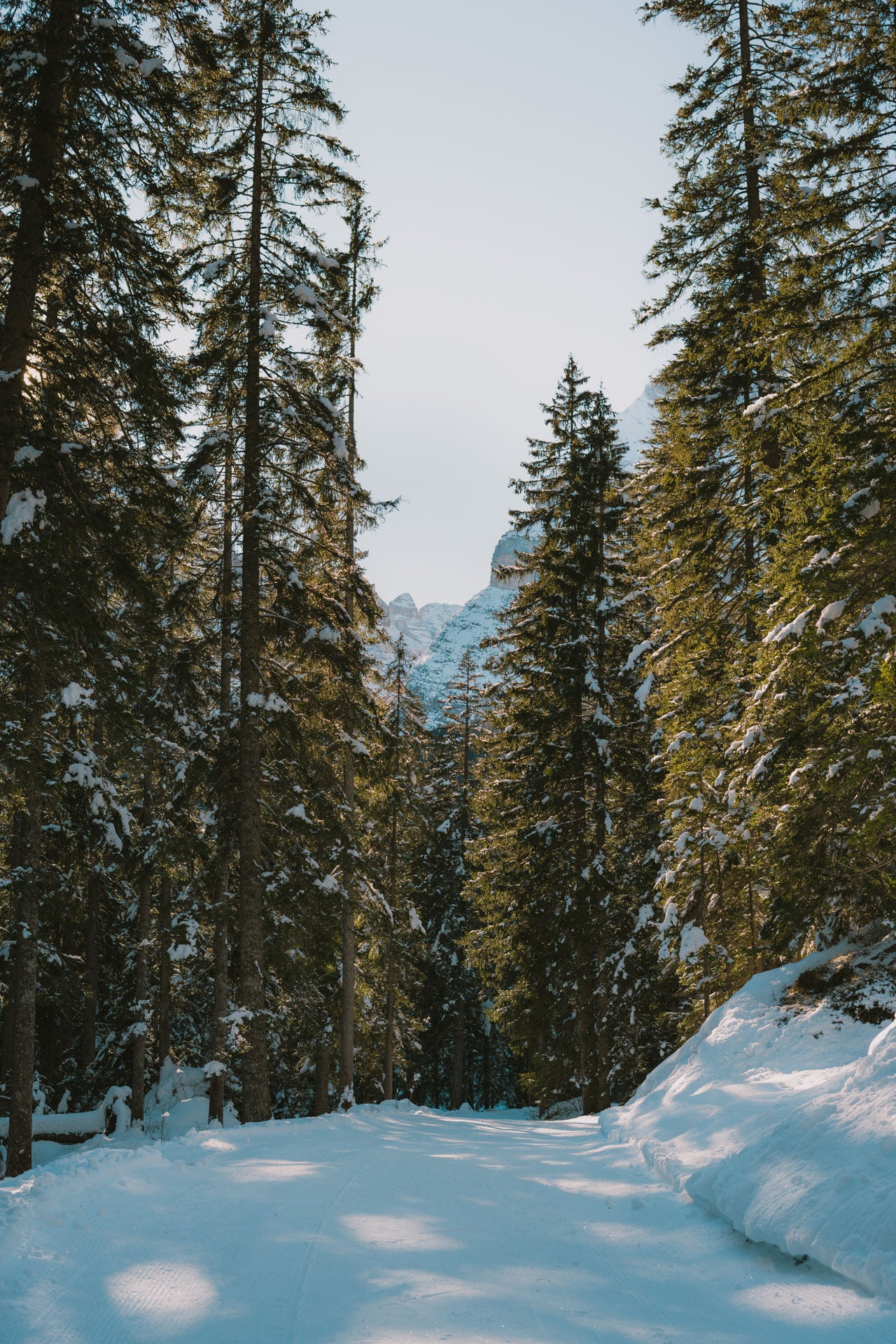 Ciaspolata a Malga Ra Stua