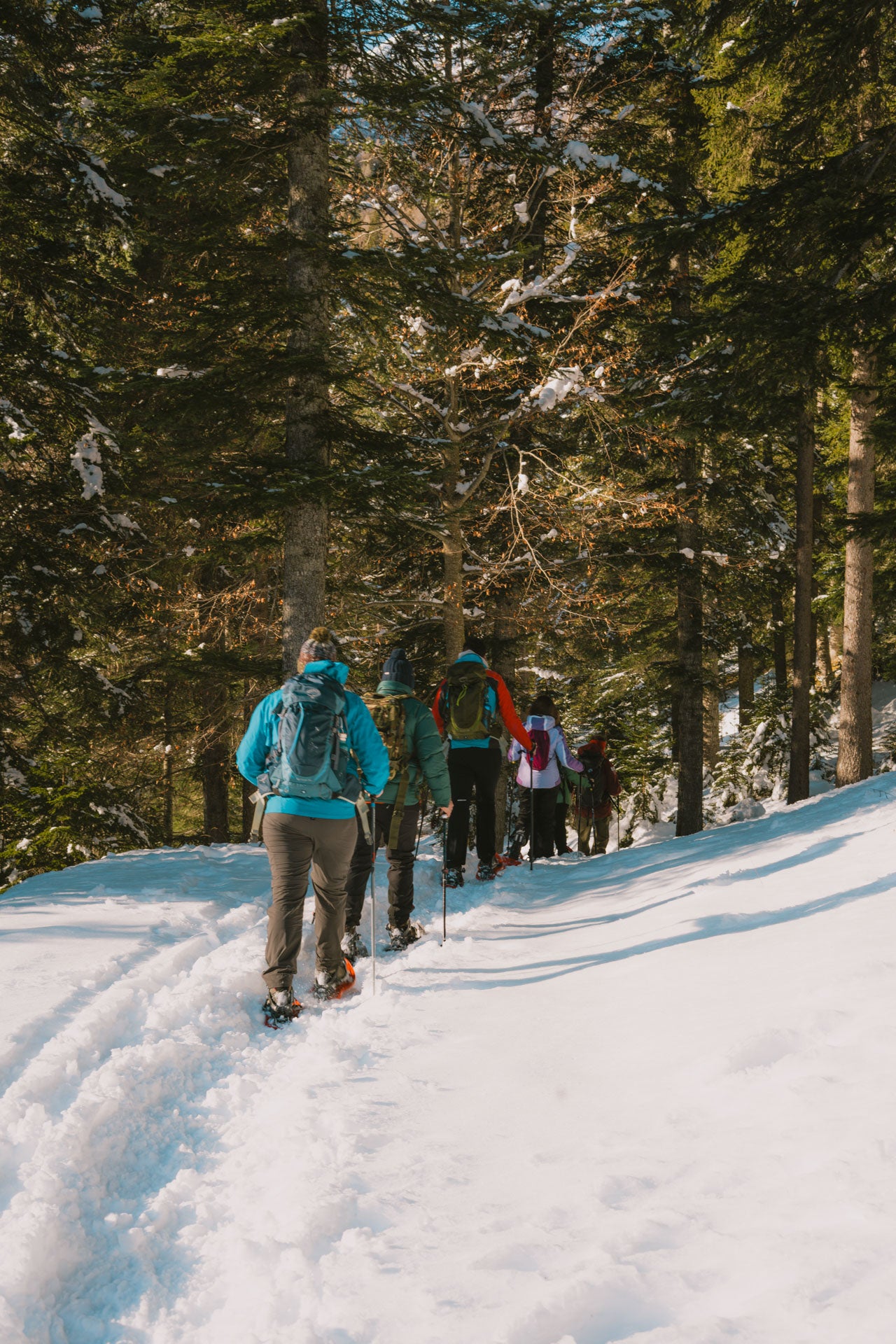 Ciaspolata a Malga Ra Stua