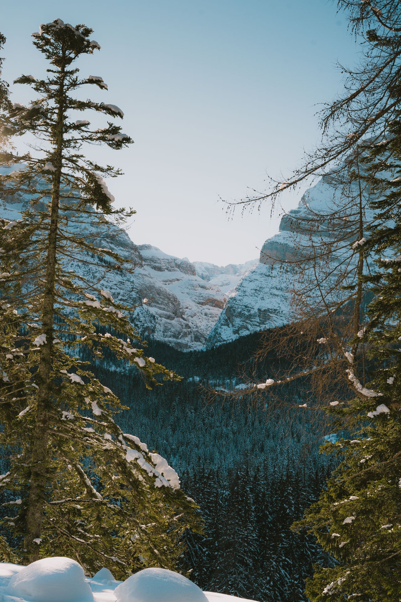 Ciaspolata a Malga Ra Stua