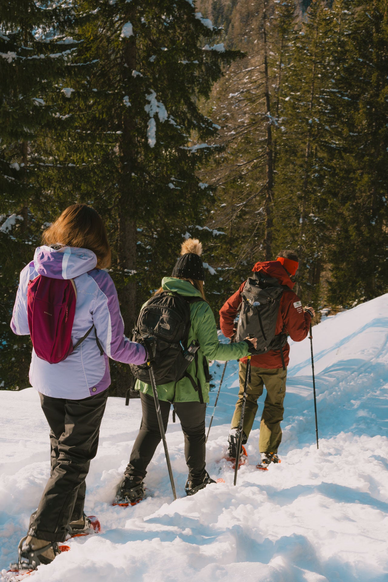 Ciaspolata a Malga Ra Stua