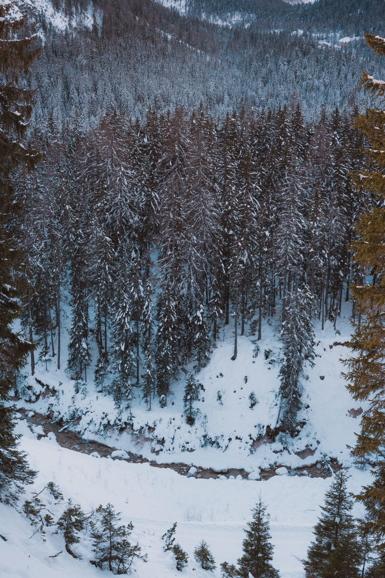 Ciaspolata a Malga Ra Stua