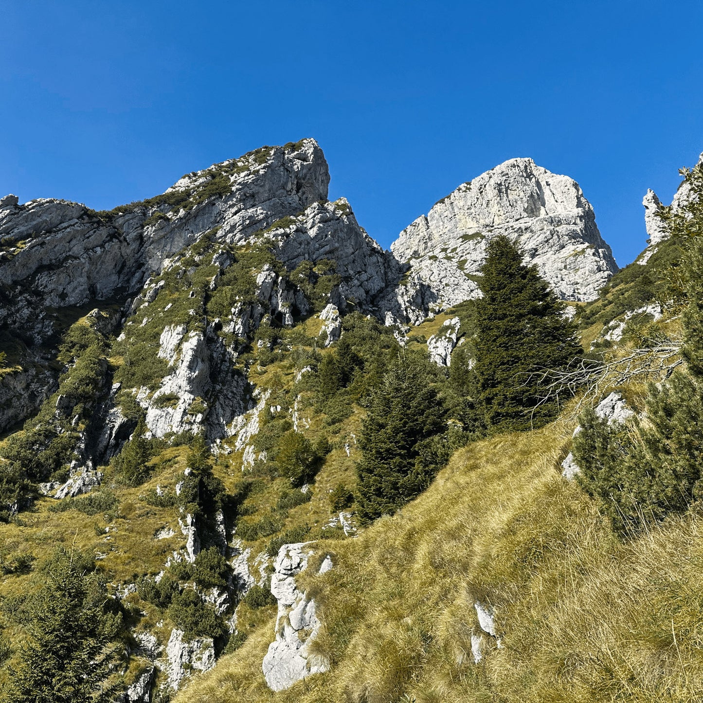Escursione al Monte Pizzocco - Dolomist