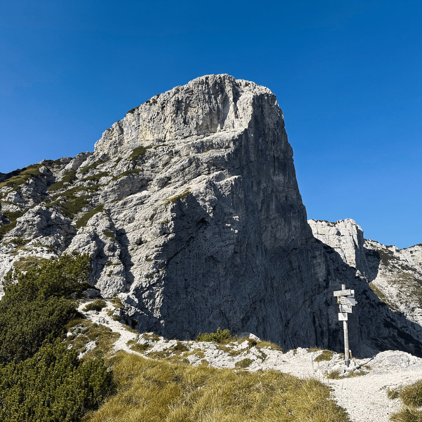 Escursione al Monte Pizzocco - Dolomist