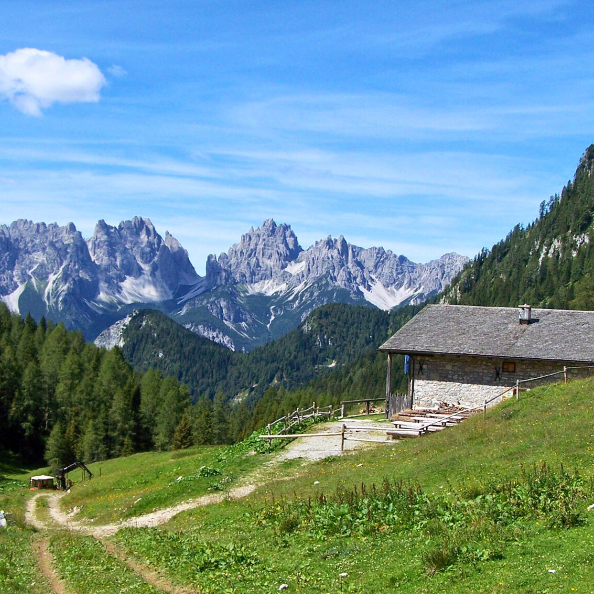 Alta Via di Forni: 4 giorni di trekking - Dolomist