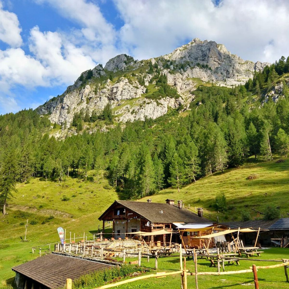 Alta Via di Forni: 4 giorni di trekking - Dolomist
