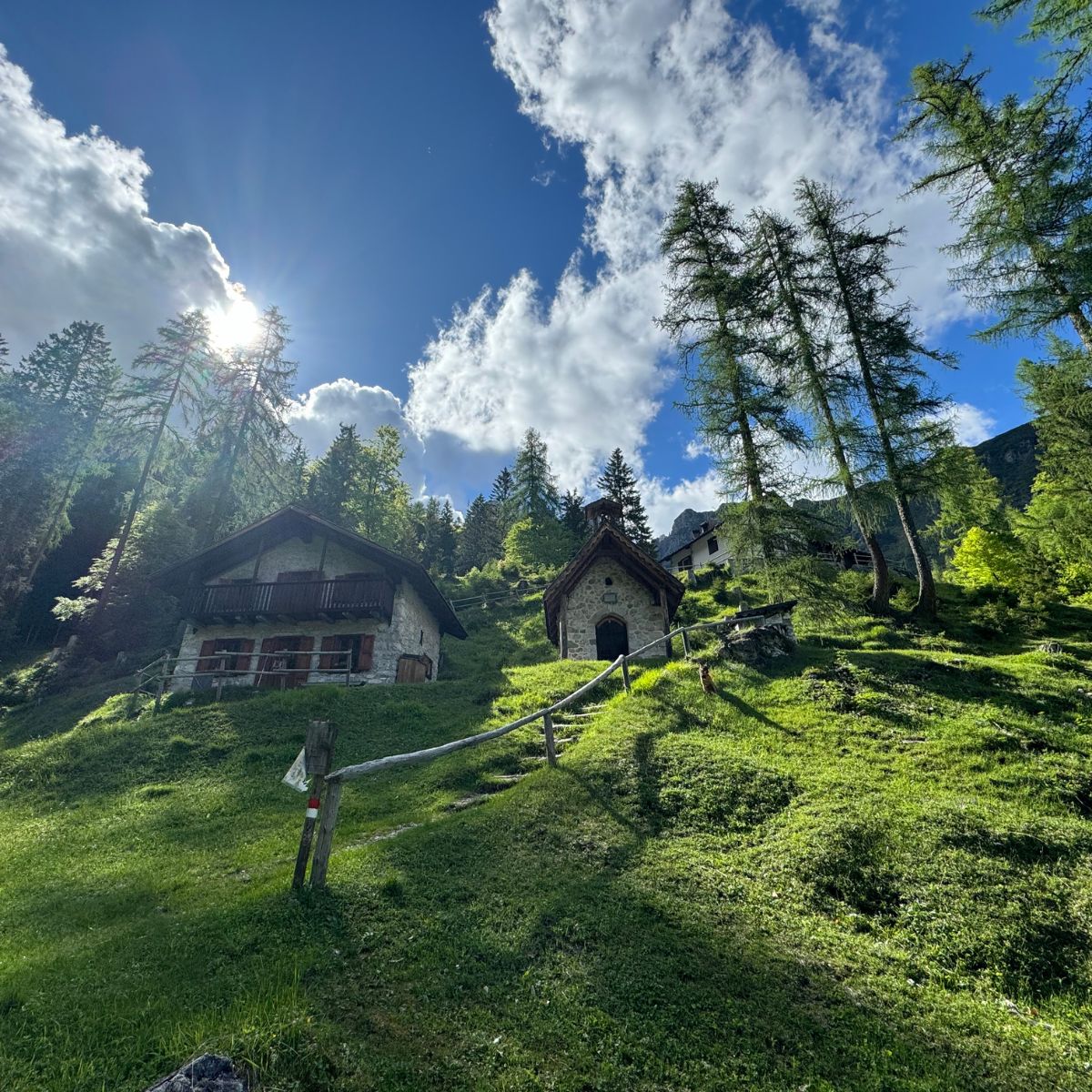 Alta Via di Forni: 4 giorni di trekking - Dolomist