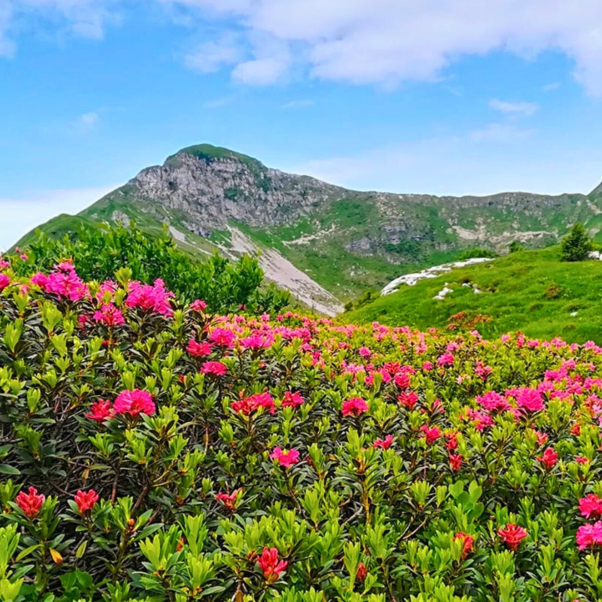 Trail running Camp: 2 giorni nelle Alpi Carniche - Dolomist