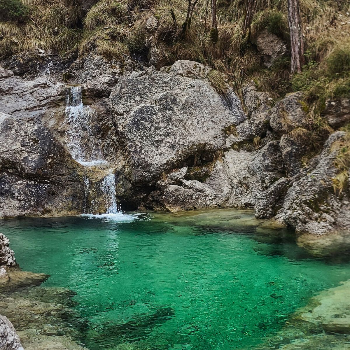 3 giorni di Trail running Camp nelle Prealpi Carniche - Dolomist