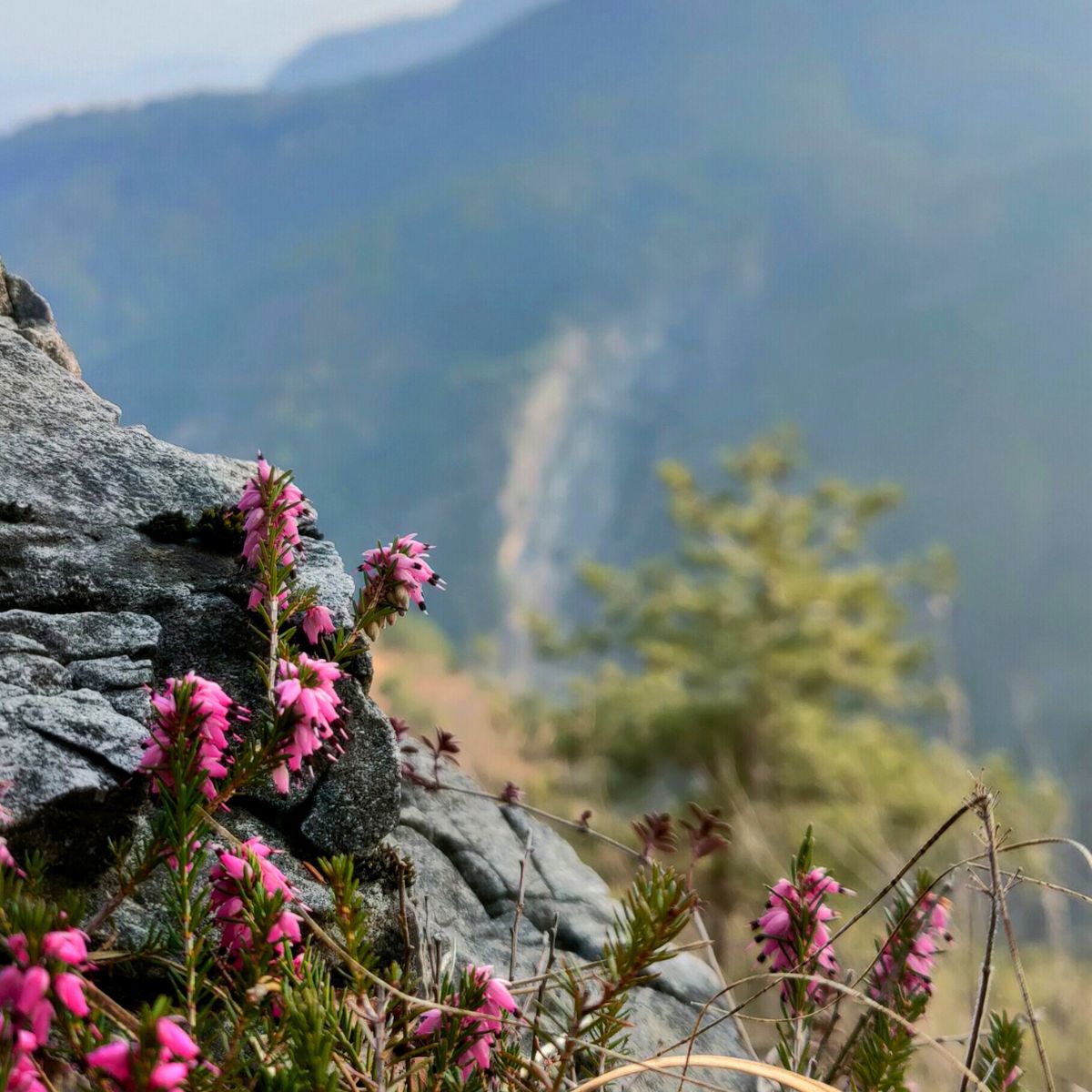 3 giorni di Trail running Camp nelle Prealpi Carniche - Dolomist