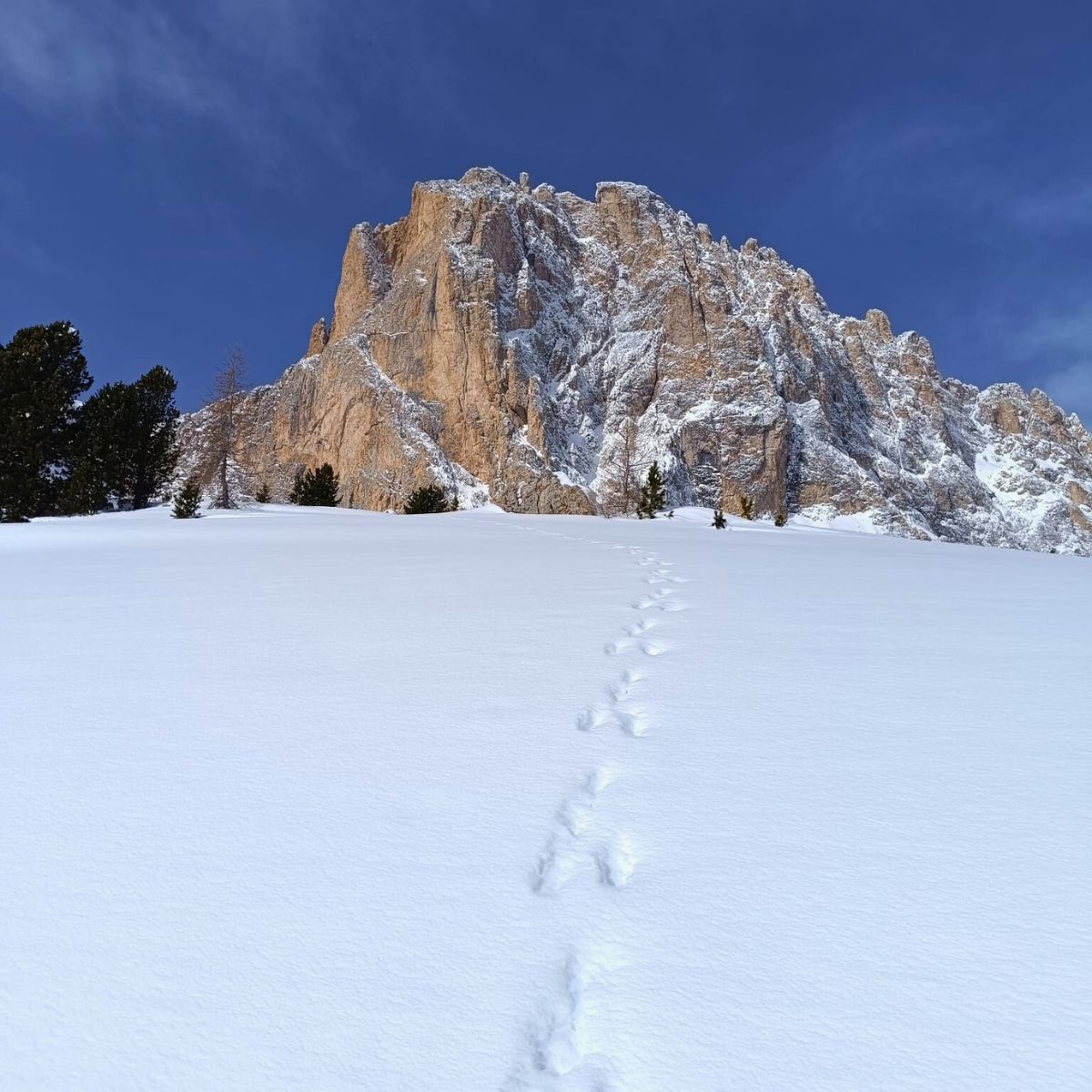 3 giorni: Sellaronda getaway Ski Safari - Dolomist