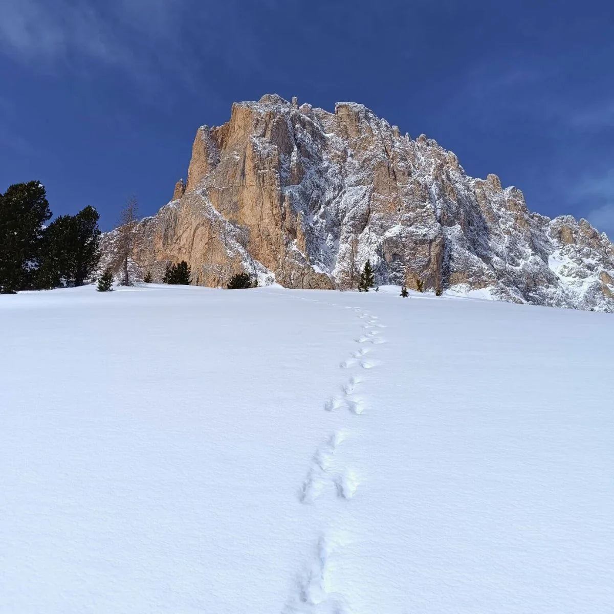 3 giorni: Sellaronda getaway Ski Safari - Dolomist