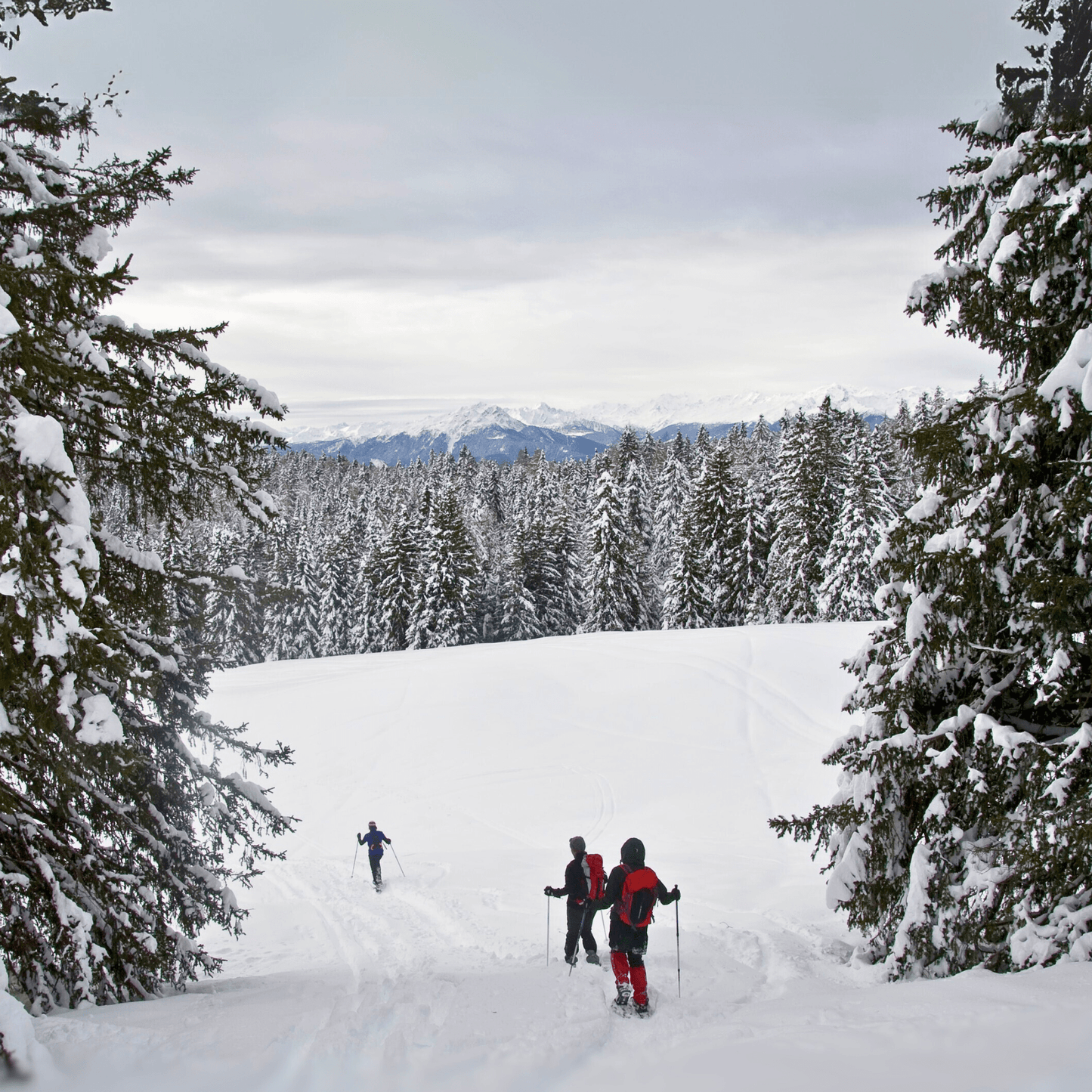 Ciaspolata sul Monte Calvo - Dolomist